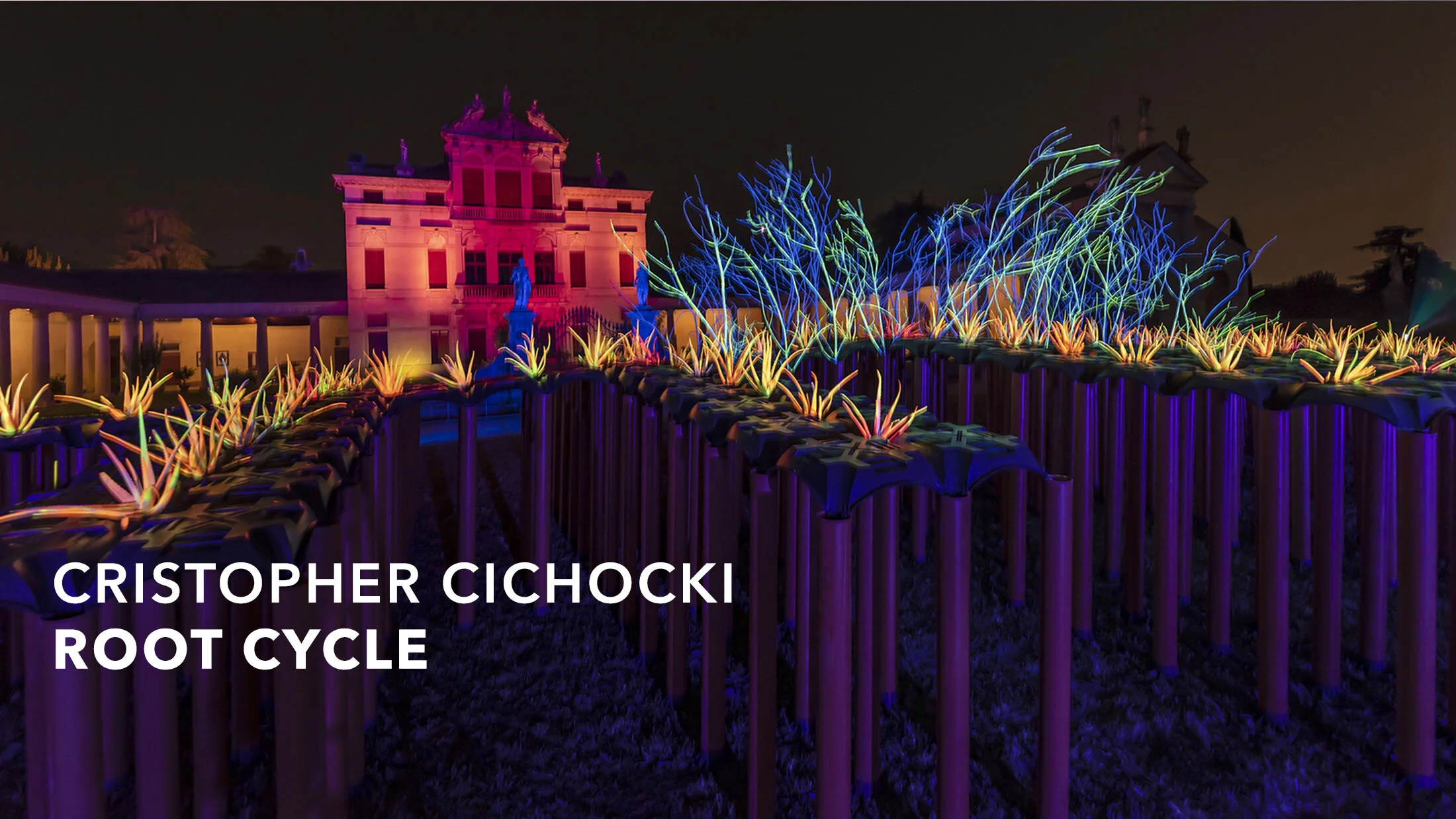 Building Beyond Together, Root Cycle by Cristopher Cichocki