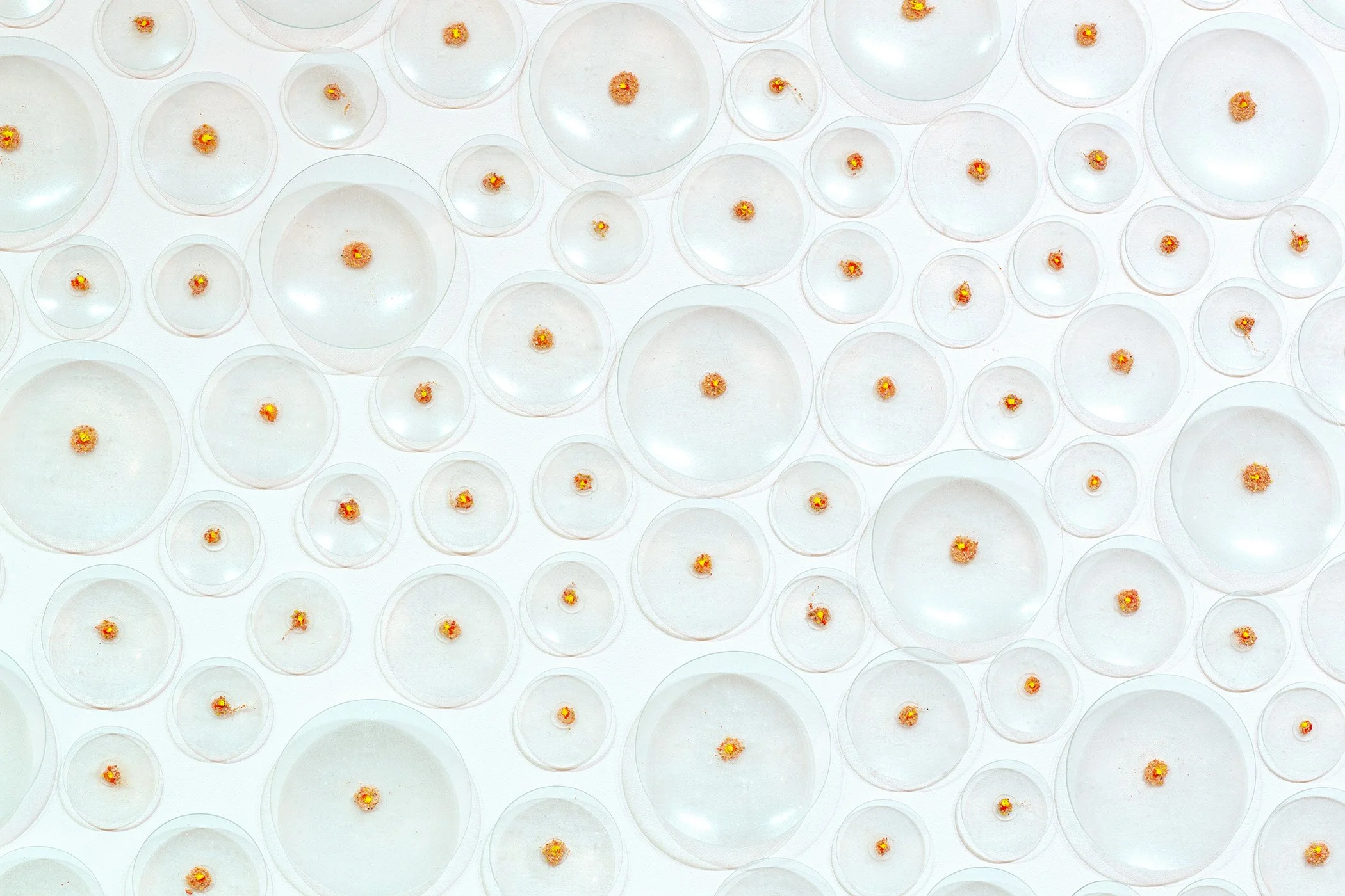 WHITE_WALL.jpg
