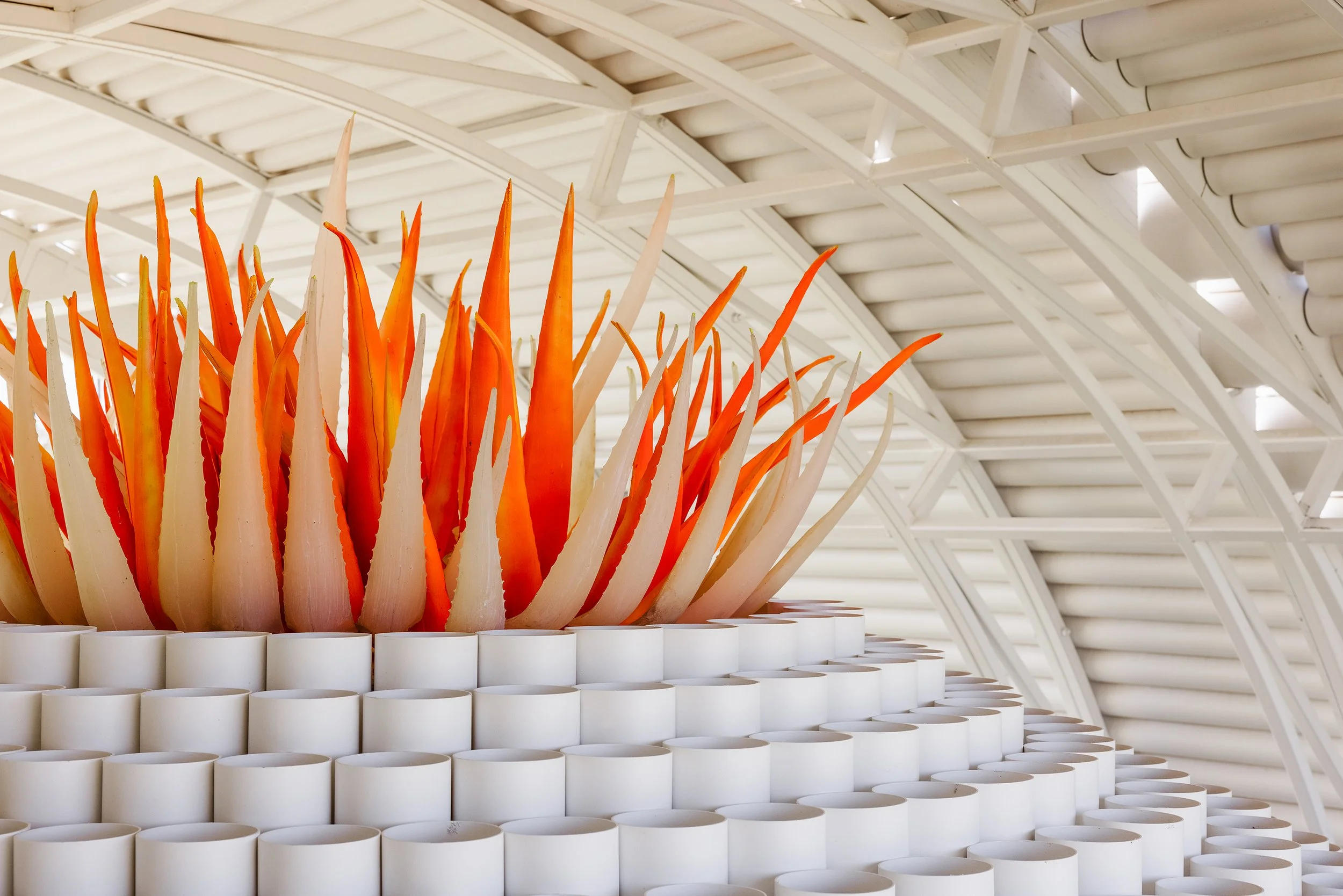 COACHELLA22_W1_L GERBER_C000079.jpg