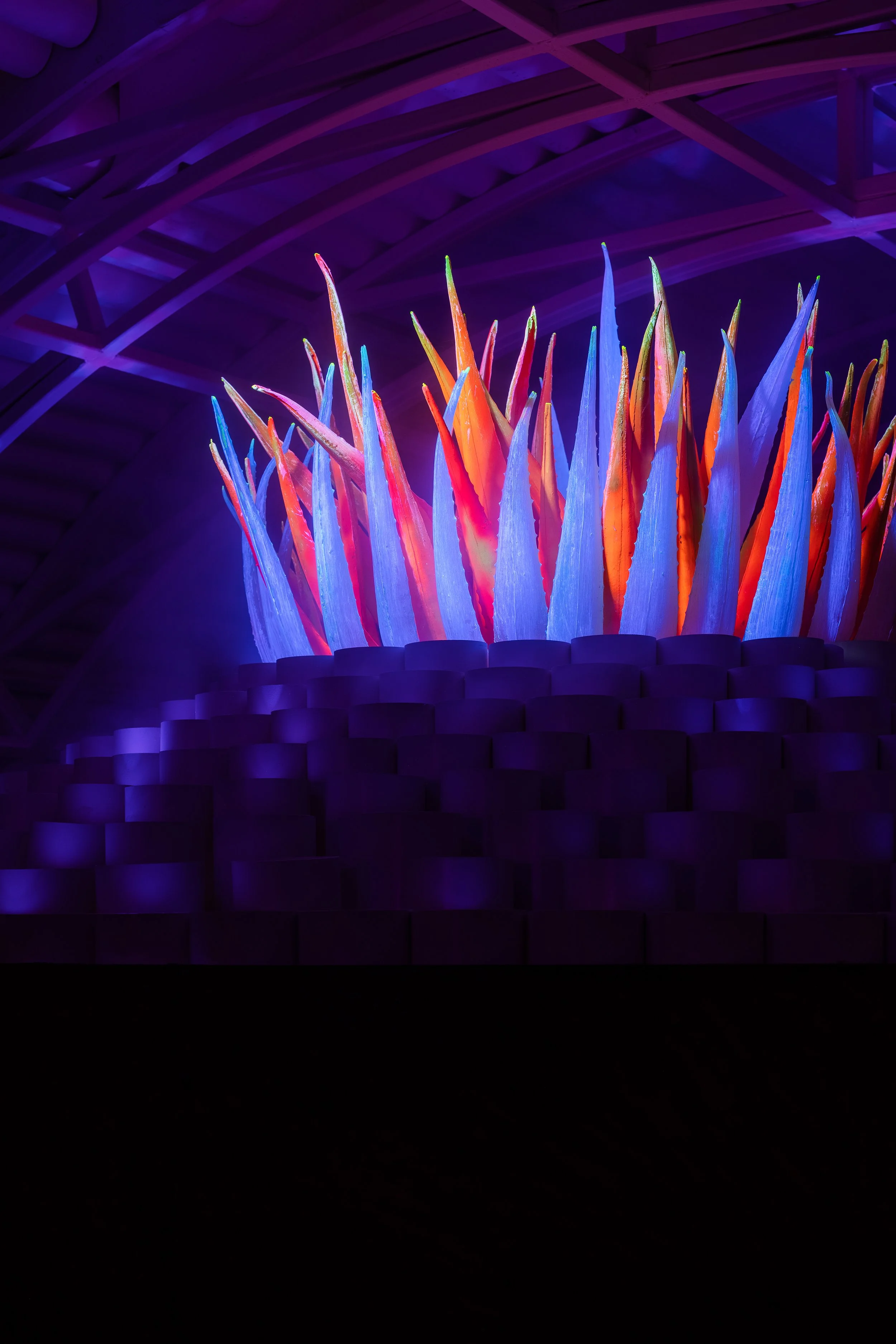 Cristopher Cichocki New Earth Art / Circular Dimensions