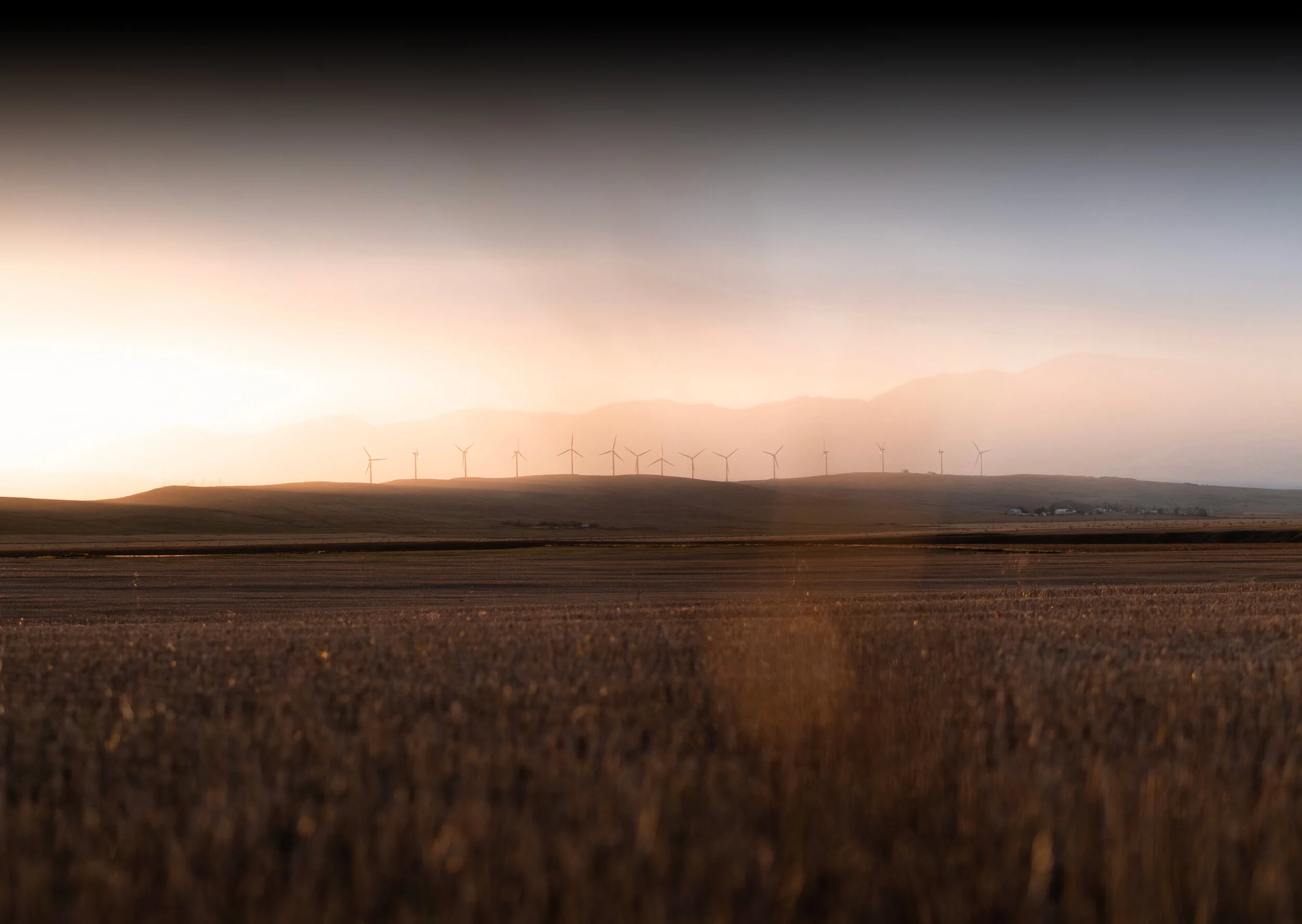 IMG_0010 Gradient 2.jpg