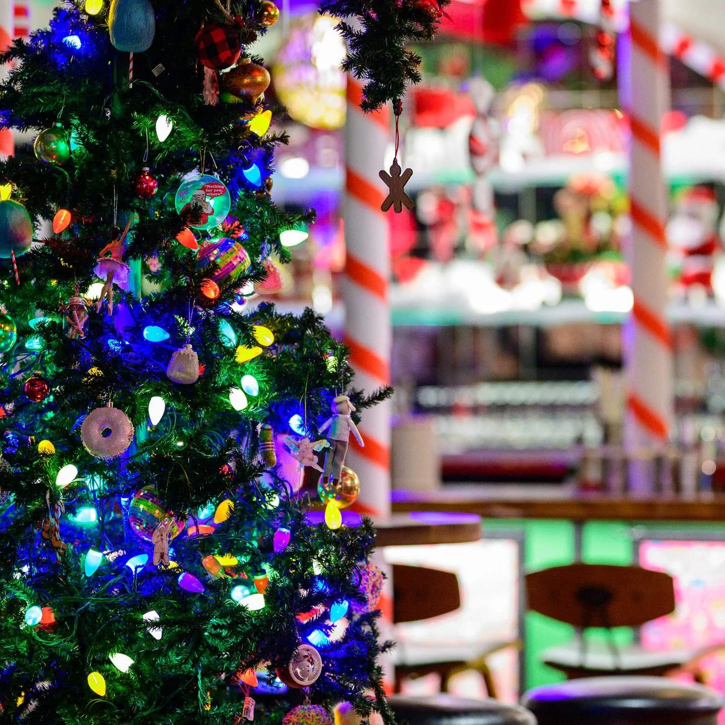 Deck the Halls is open Christmas Eve &amp; Christmas Day✨ Swing by for cocktails, cheer, and a little holiday magic. 4pm-midnight 🎅🎄🎁

#holidaybars #drinksf #deckthehalls