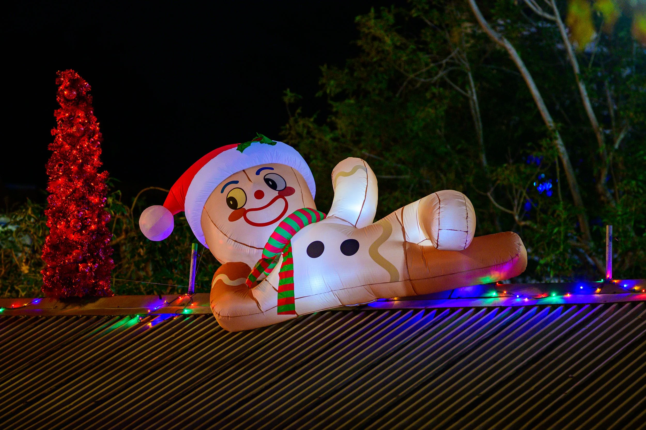 Relaxing on the Roof.jpg