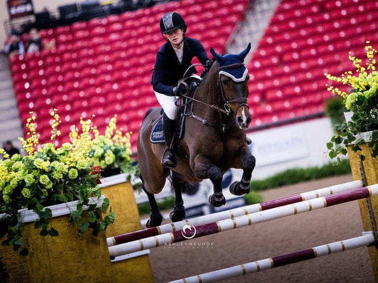  Jennifer Gates and Alex in the Las Vegas National Winning Round Jumper Classic Photo: Ashley Neuhof Photography 