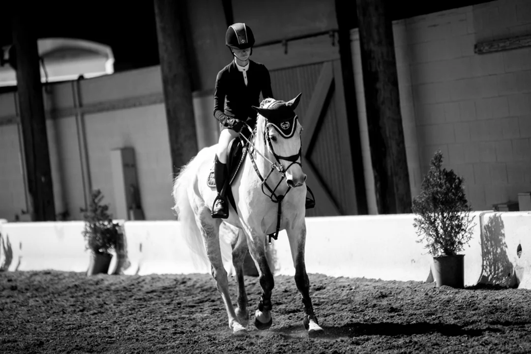 Jenn Gates and Luftikus S at the Del Mar International Horse Show. Photo by Ashley Neuhof Photography.