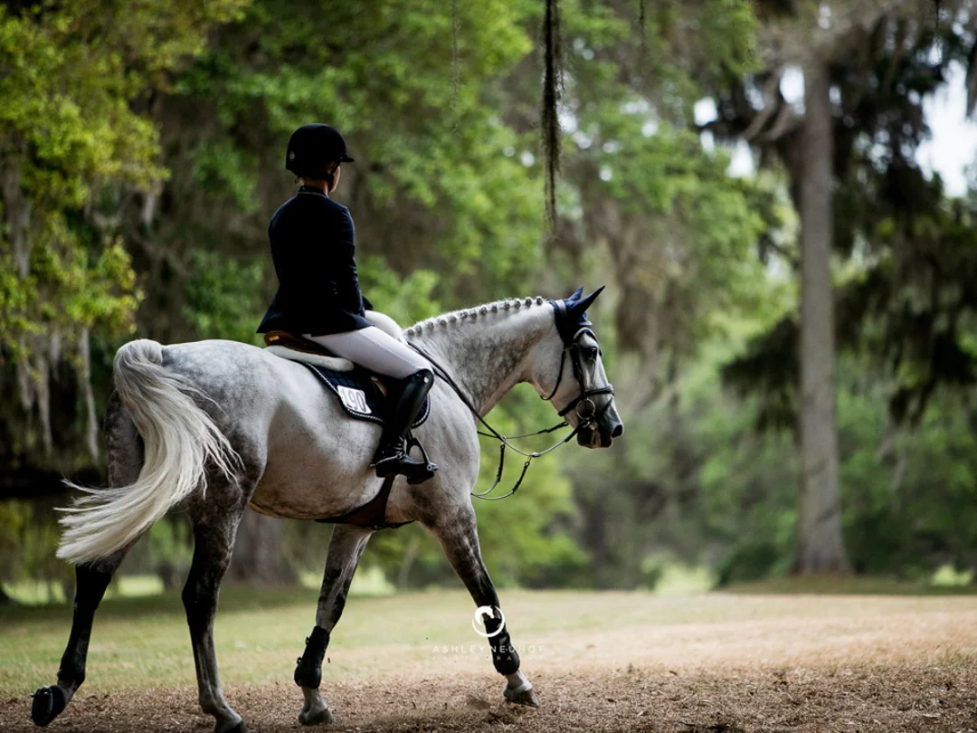 Jenn Gates and Luftikus S at the 2017 Live Oak International Horse Show. Photo by Ashley Neuhof Photography.