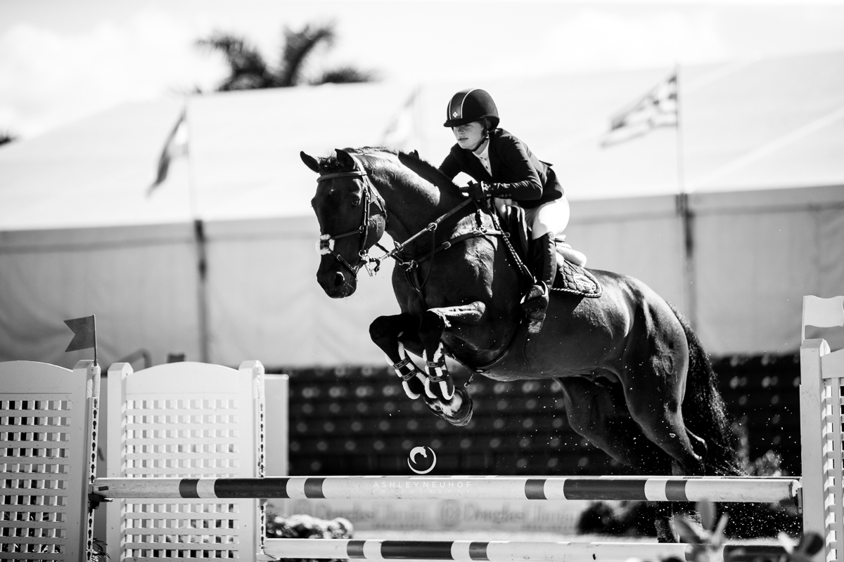 Jenn Gates and Capital Colnardo at Winter Equestrian Festival 2019. Photo by Ashley Neuhof Photography.