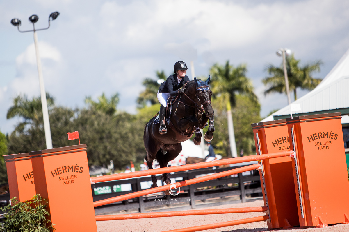 Jenn Gates and Pacific des Essarts at Winter Equestrian Festival 2019. Photo by Ashley Neuhof Photography.