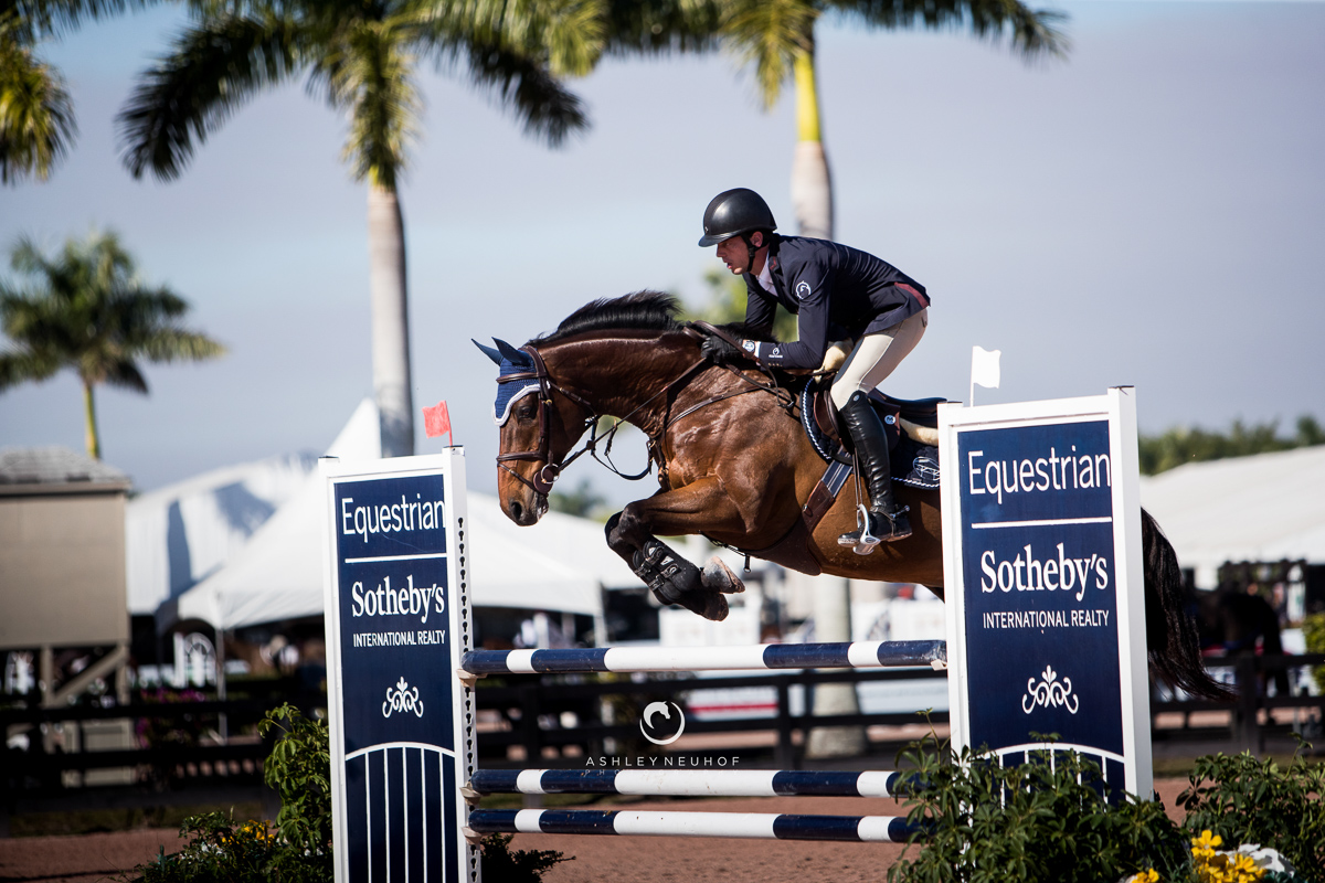 Harrie Smolders and Bardolino at the Winter Equestrian Festival 2019. Photo by Ashley Neuhof Photography.