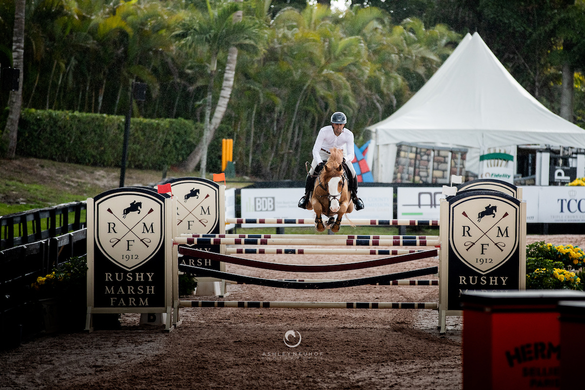 Nayel Nassar and Lutz at the Winter Equestrian Festival 2019. Photo by Ashley Neuhof Photography.