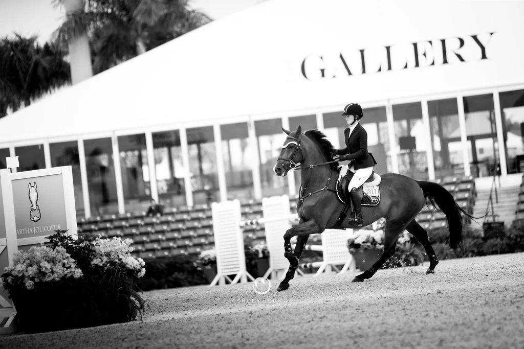Jenn Gates and Alex at Winter Equestrian Festival 2019. Photo by Ashley Neuhof Photography.