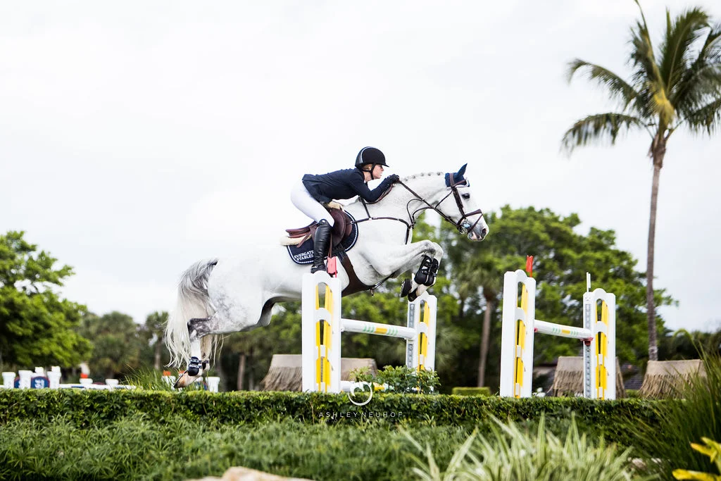 Jenn Gates and Pumped Up Kicks at Winter Equestrian Festival 2019. Photo by Ashley Neuhof Photography.