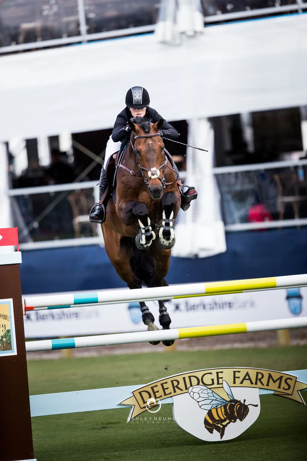 Jenn Gates and Capital Colnardo at Palm Beach Masters 2019. Photo by Ashley Neuhof Photography.