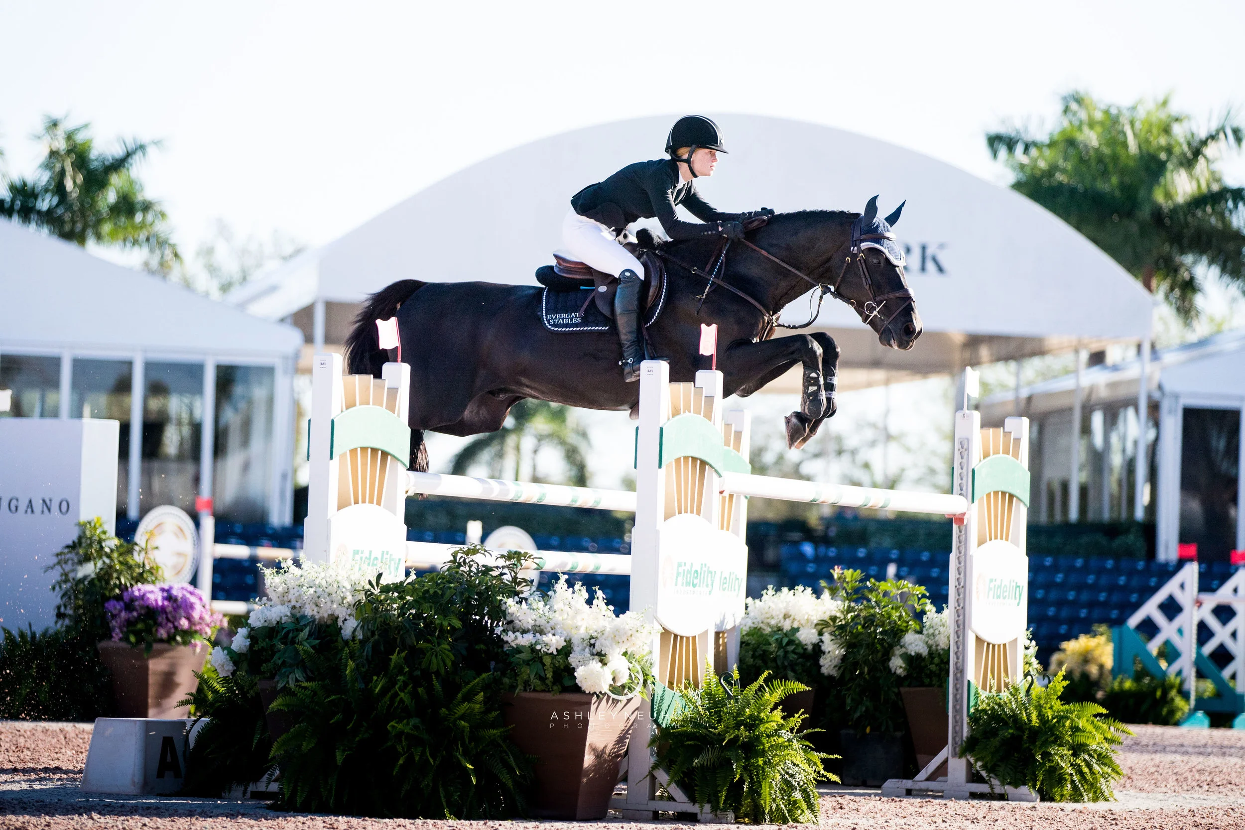 Jenn Gates and Pacific des Essarts at Winter Equestrian Festival 2019. Photo by Ashley Neuhof Photography.