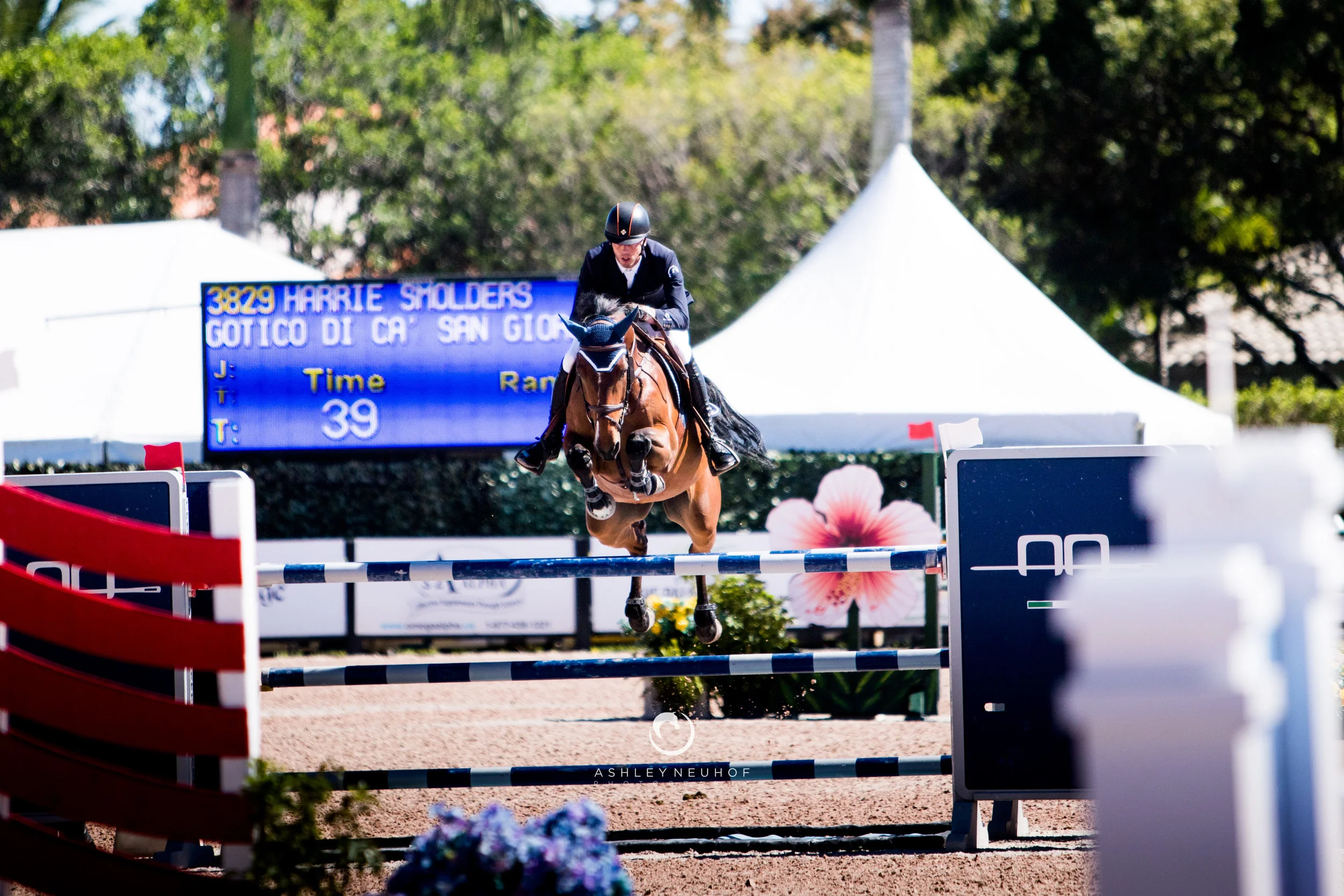 Harrie Smolders and Gotico di ca’ San Giorgio at Winter Equestrian Festival 2019. Photo by Ashley Neuhof Photography.