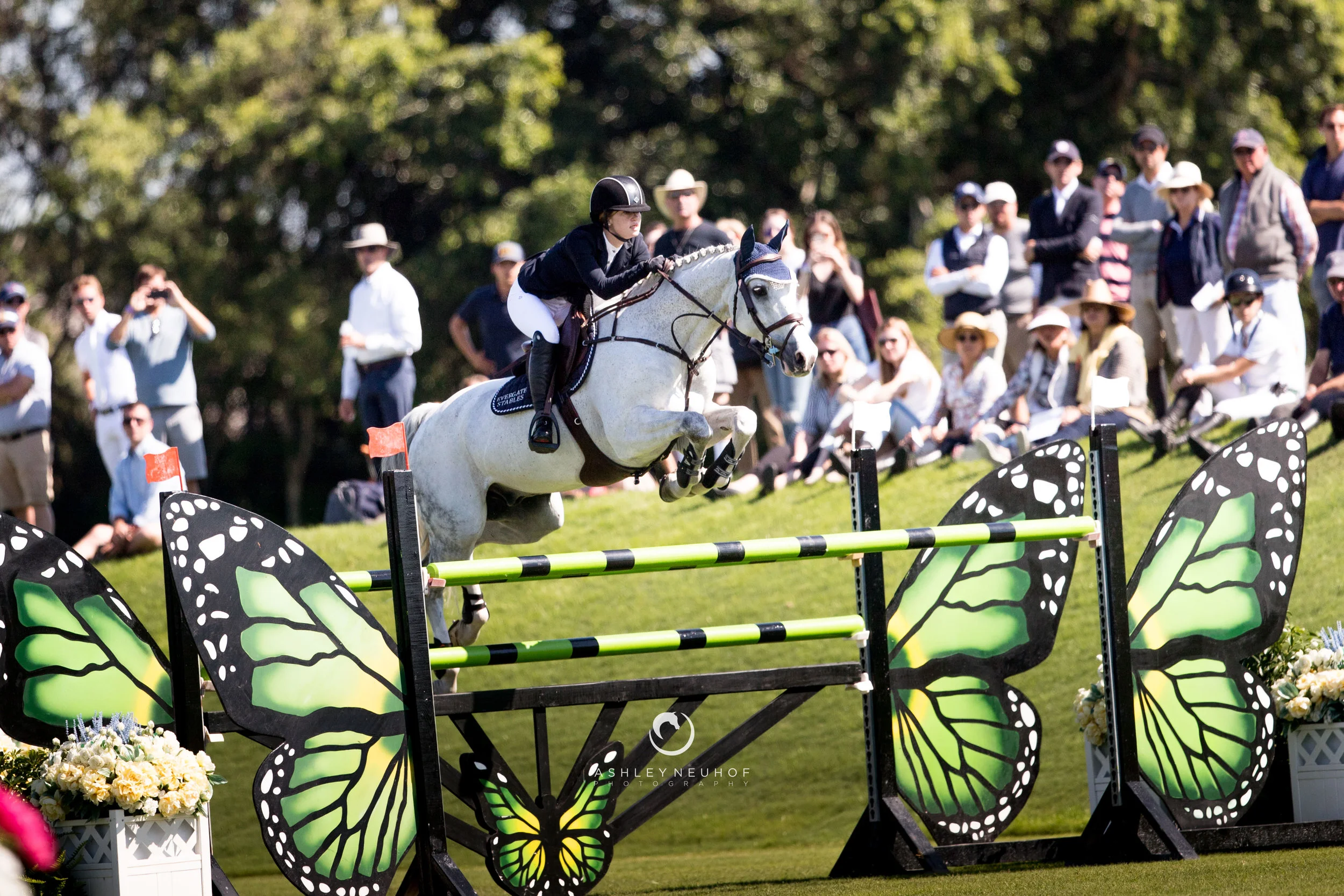 Jenn Gates and Pumped Up Kicks at Winter Equestrian Festival 2019. Photo by Ashley Neuhof Photography.