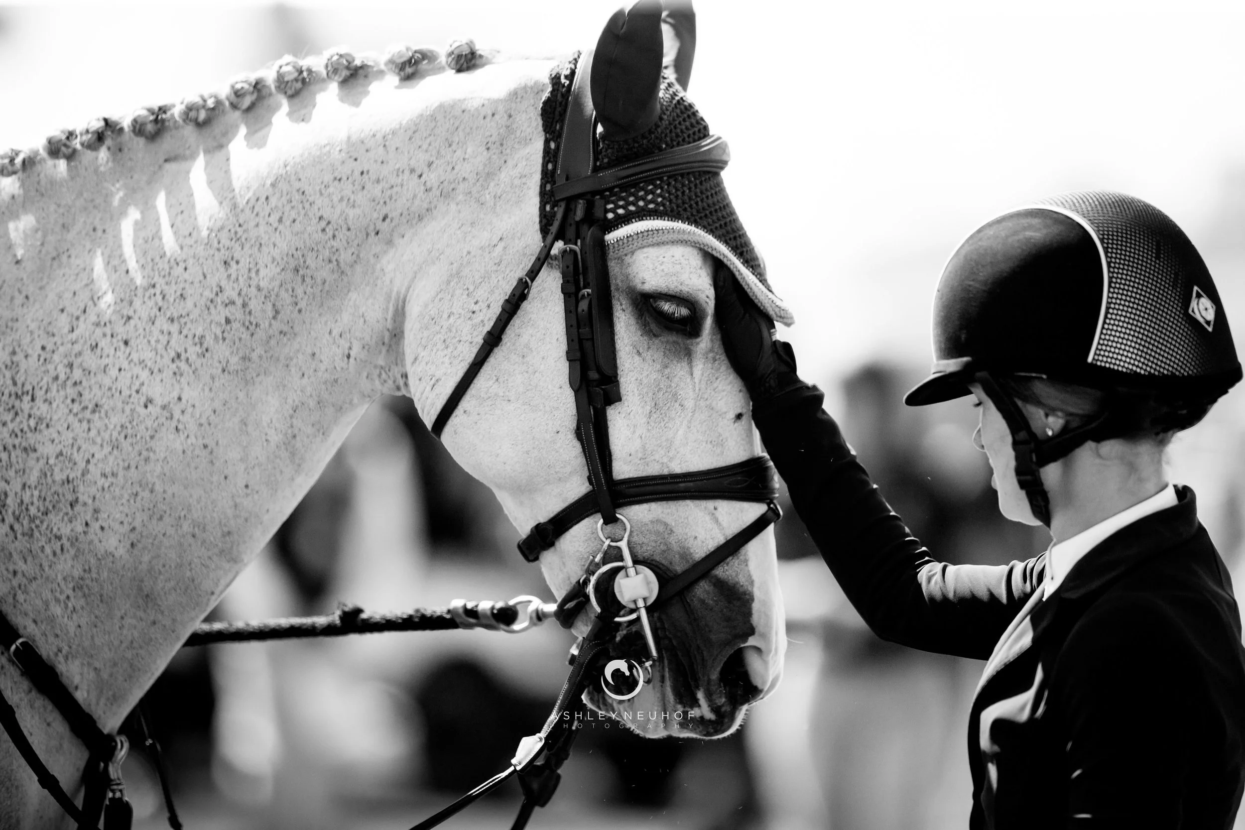 Jenn Gates and Pumped Up Kicks at Winter Equestrian Festival 2019. Photo by Ashley Neuhof Photography.