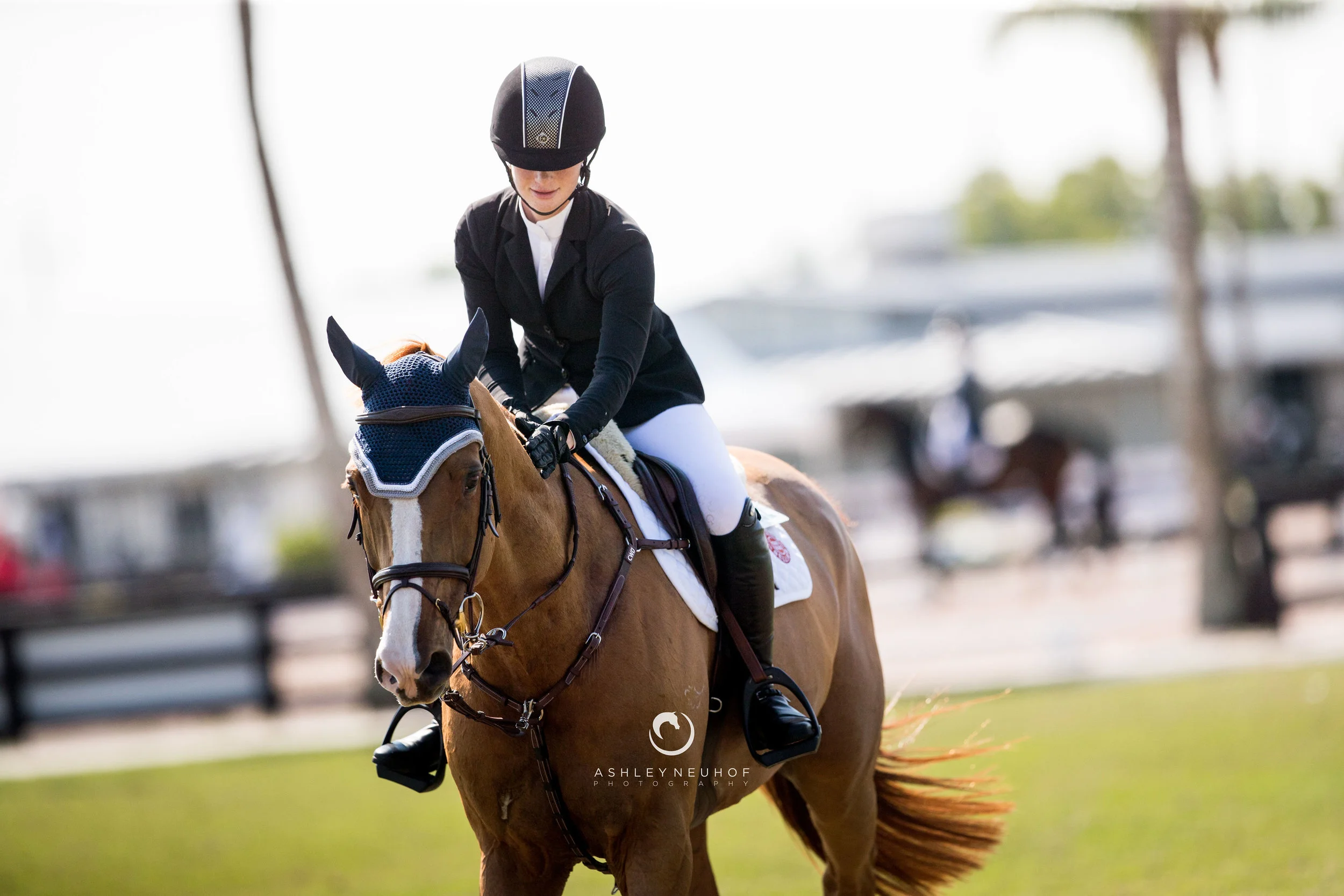 Jenn Gates and Oaks Redwood at Winter Equestrian Festival 2019. Photo by Ashley Neuhof Photography.