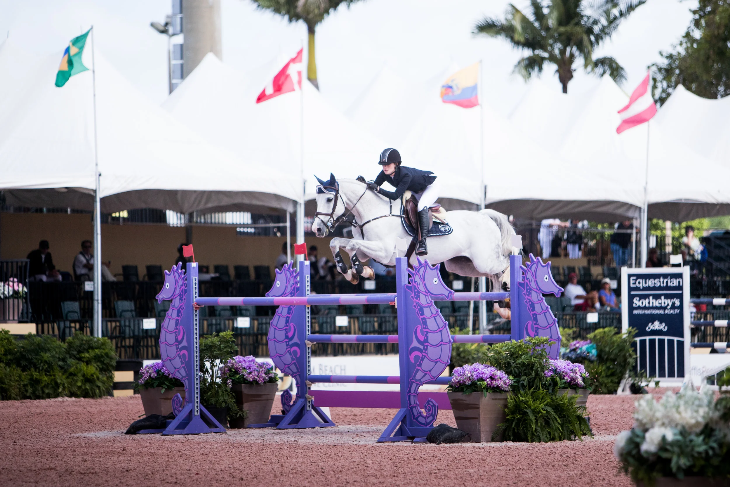 Jenn Gates and Pumped Up Kicks at Winter Equestrian Festival 2019. Photo by Ashley Neuhof Photography.