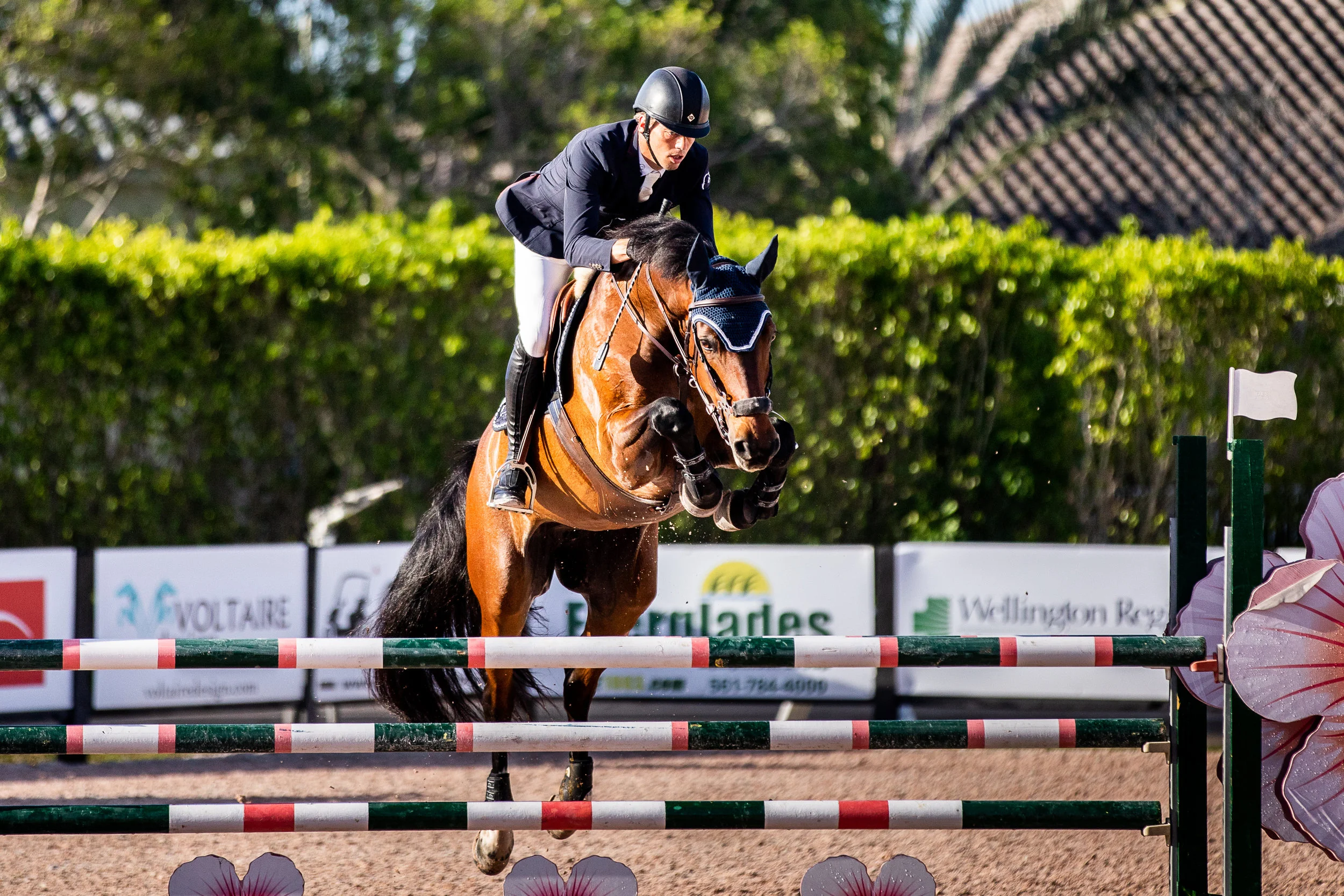 Harrie Smolders and Celena VDL at Winter Equestrian Festival 2019. Photo by Ashley Neuhof Photography.
