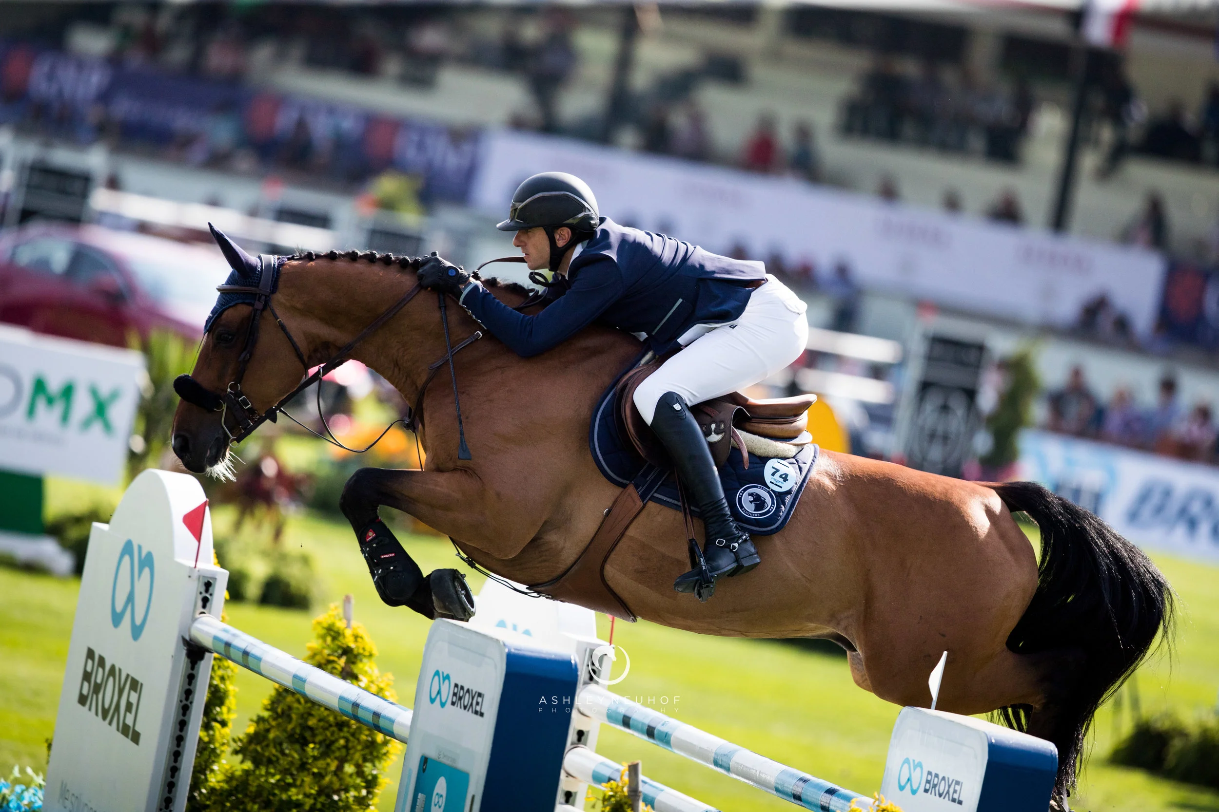 Gregory Wathelet and Qualido 3 at Global Champions League of Mexico City 2019. Photo by Ashley Neuhof Photography.