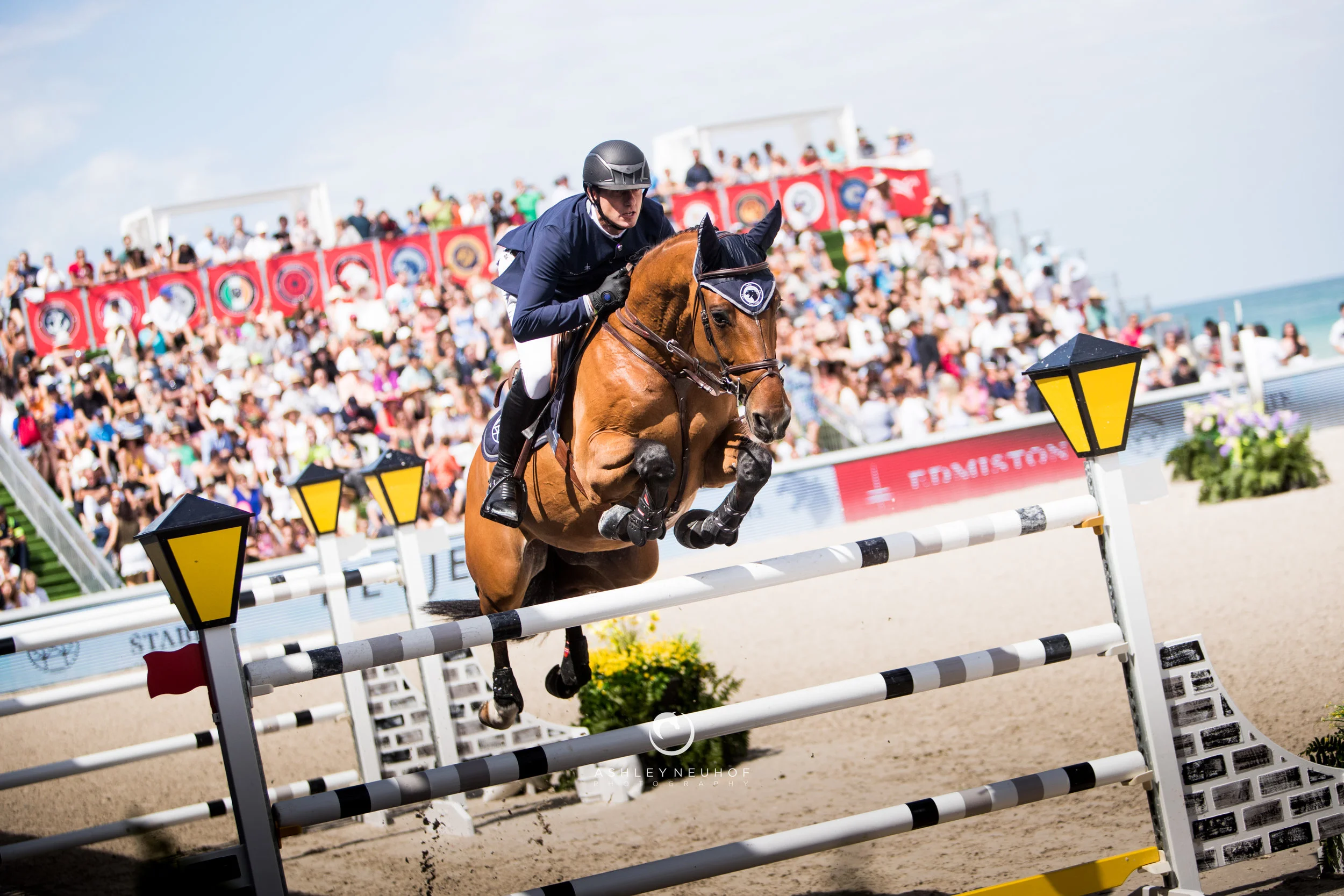 Gregory Wathelet and Qualido 3 at Global Champions League of Miami 2019. Photo by Ashley Neuhof Photography.