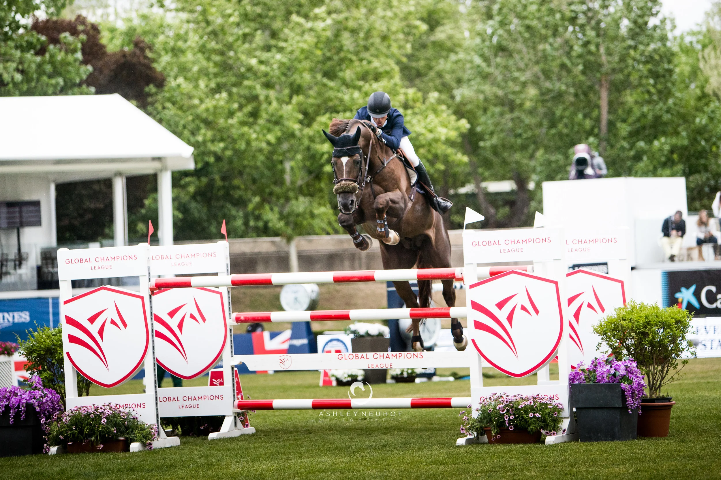 Harrie Smolders and Don VHP Z N.O.P. at Global Champions League of Madrid 2019. Photo by Ashley Neuhof Photography.