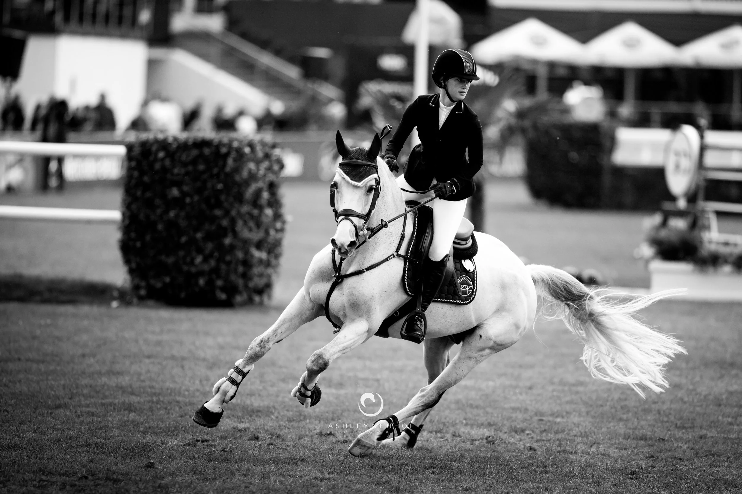 Jenn Gates and Pumped Up Kicks at Longines Global Champions Tour of Hamburg 2019. Photo by Ashley Neuhof Photography.