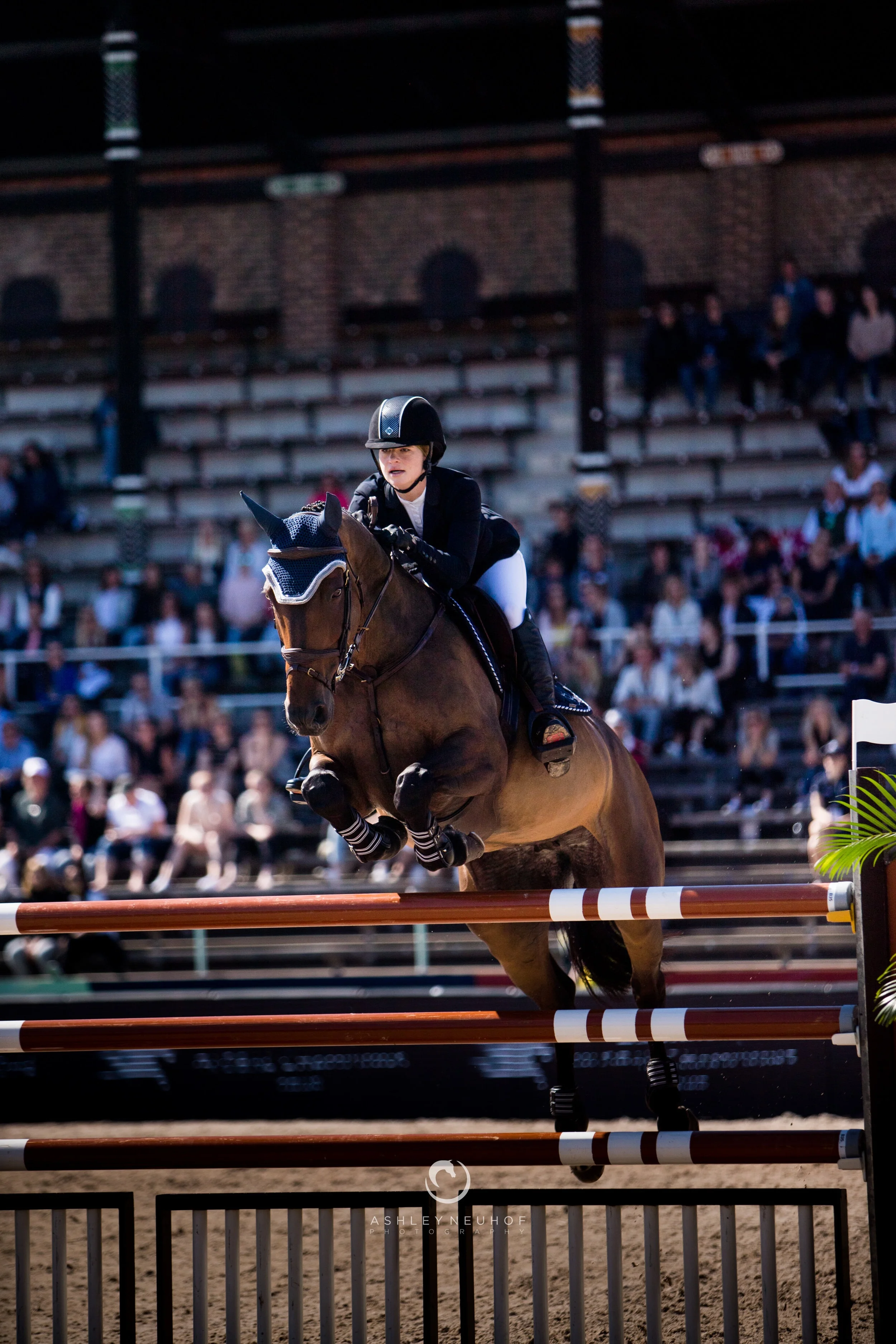 Jenn Gates and Hermelien Vd Hooghoeve at Longines Global Champions Tour of Stockholm 2019. Photo by Ashley Neuhof Photography.