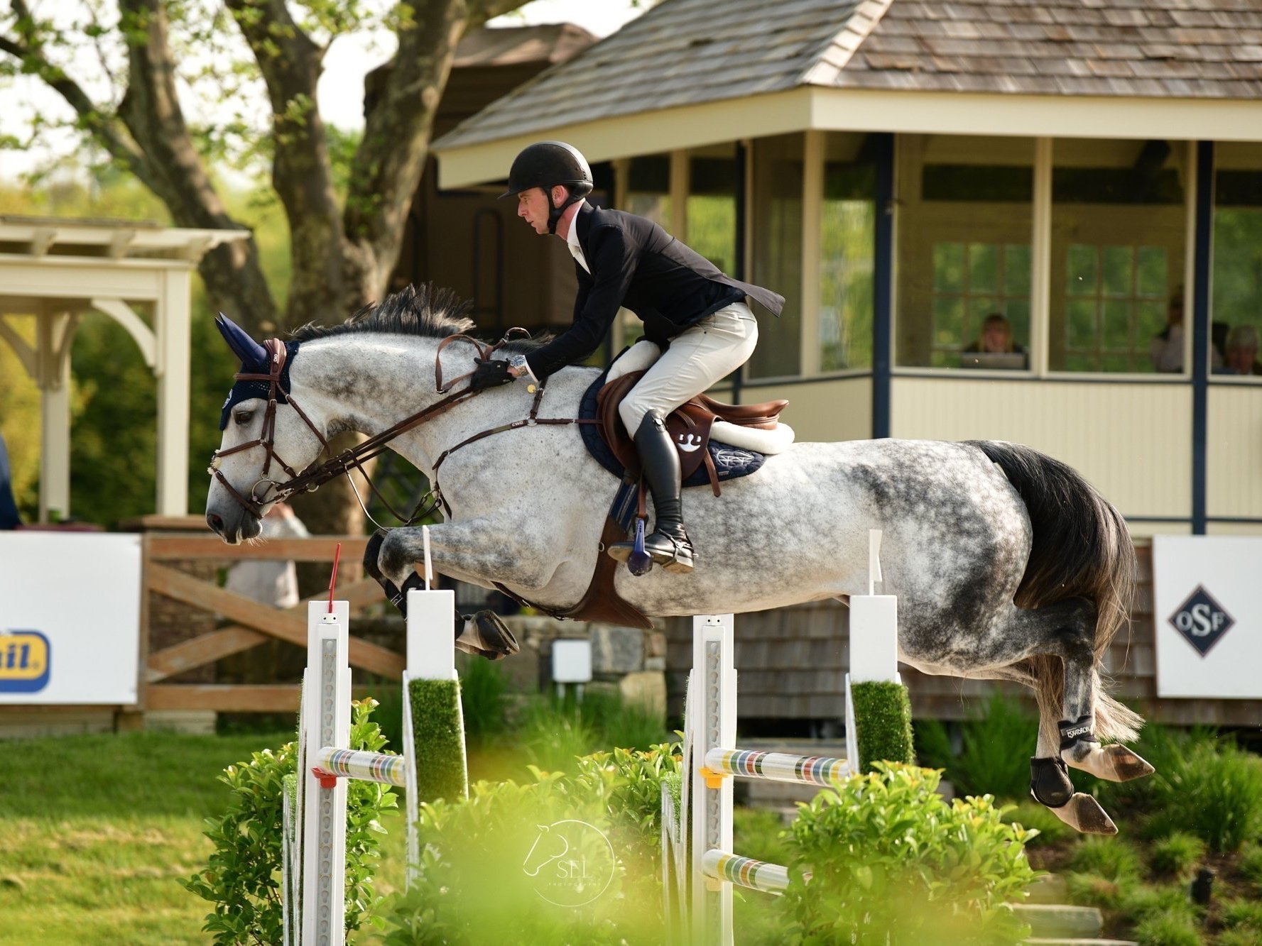  Philip McGuane riding Paso Doble at Old Salem Farm.  