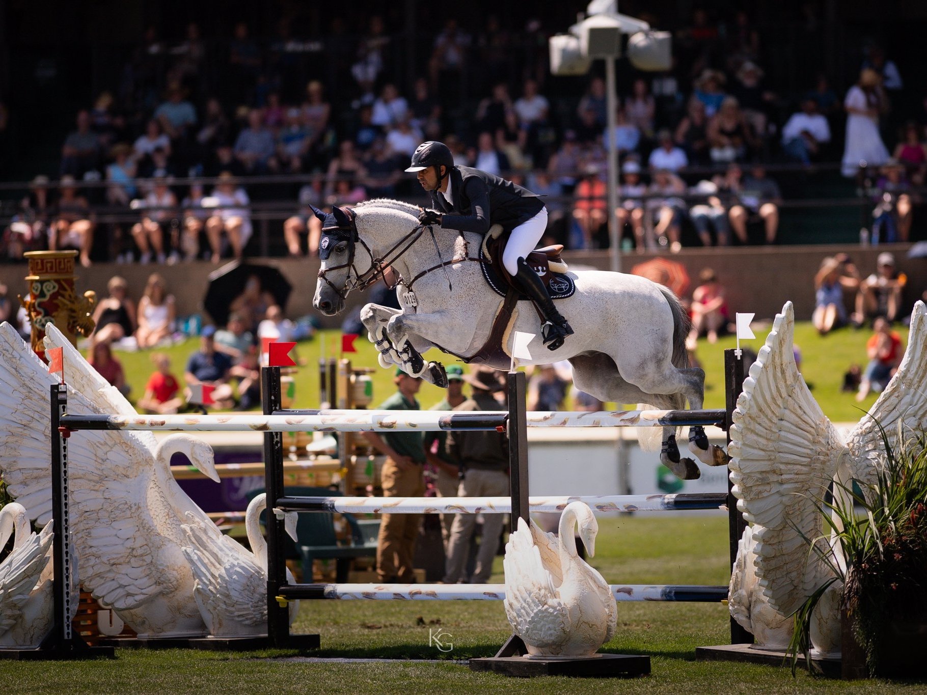  Nayel Nassar &amp; Coronado winning the  $1,000,000 1.60m ATCO Queen Elizabeth II Cup at Spruce Meadows. Photo by ©Kim Guadry. 