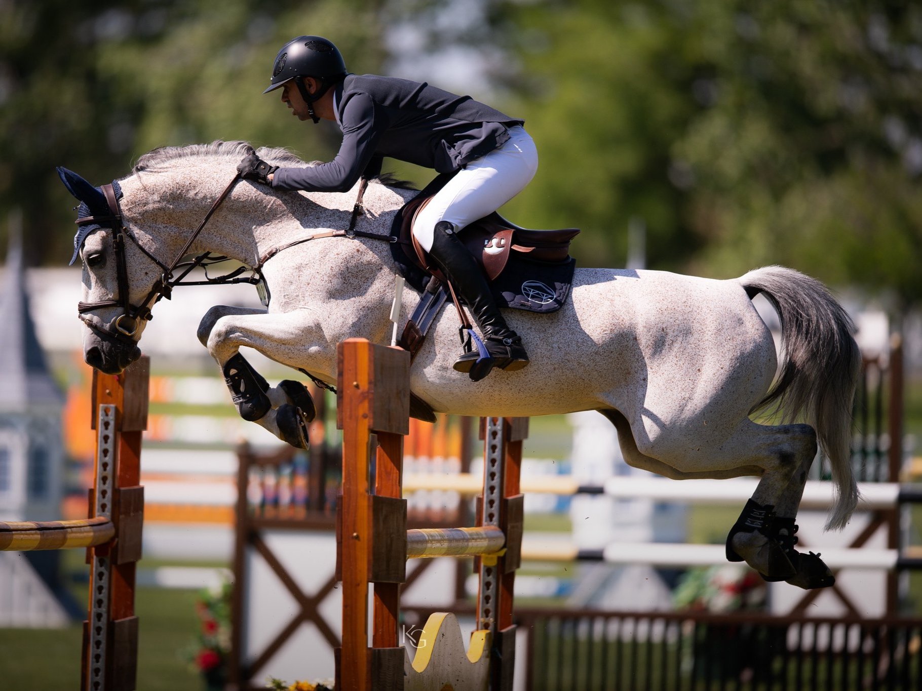  Nayel Nassar &amp; Dorado de Riverland jumping at Spruce Meadows. Photo by © Kim Guadry. 