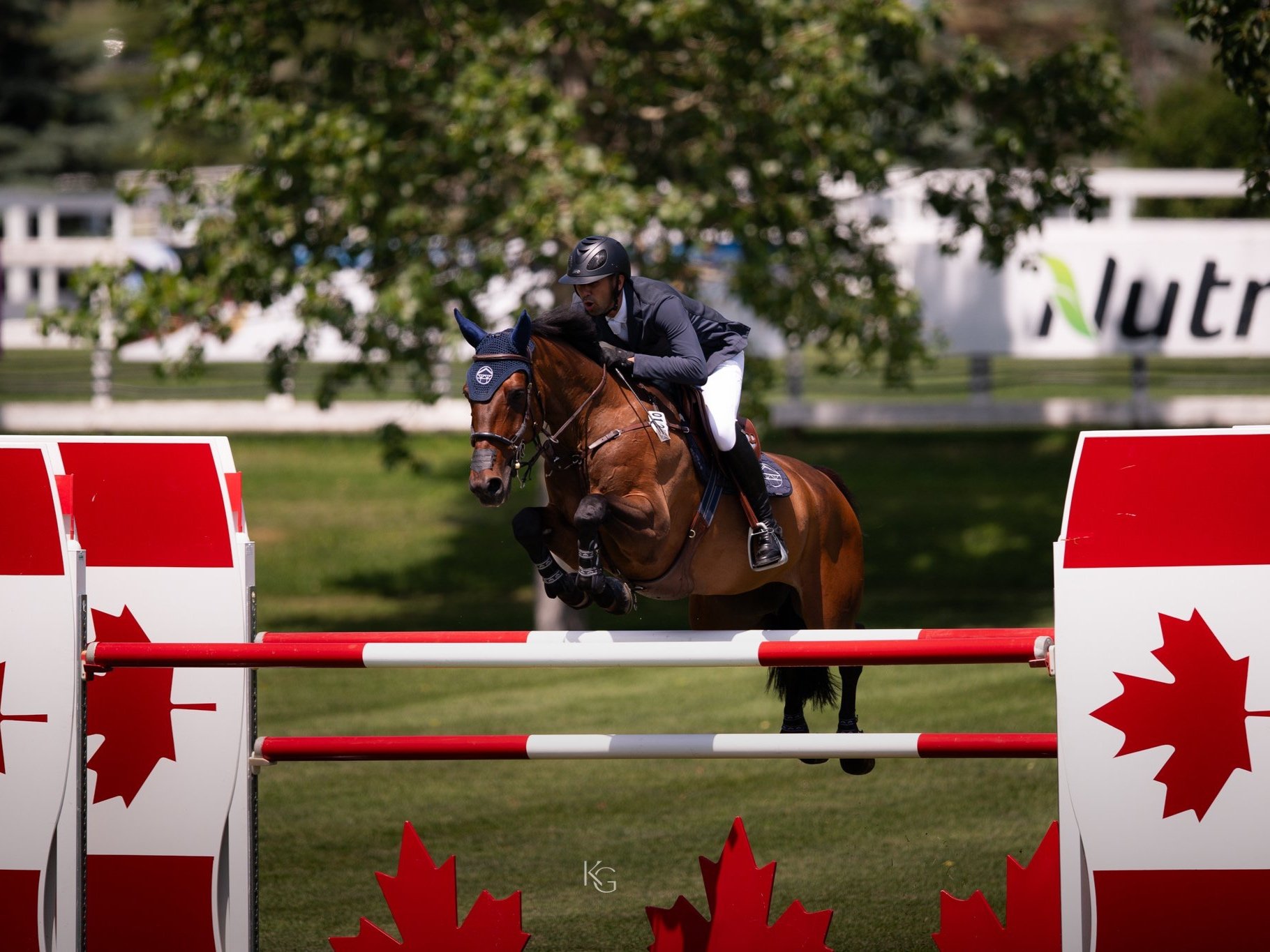  Nayel Nassar riding El Conde at Spruce Meadows. Photo by © Kim Guadry. 