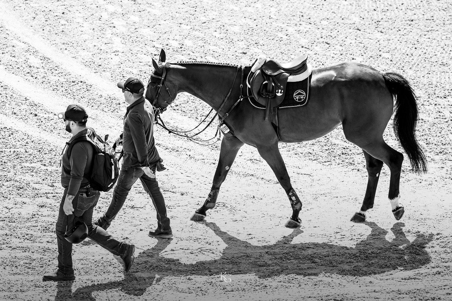 #teamevergatestables 🐴✨💙
