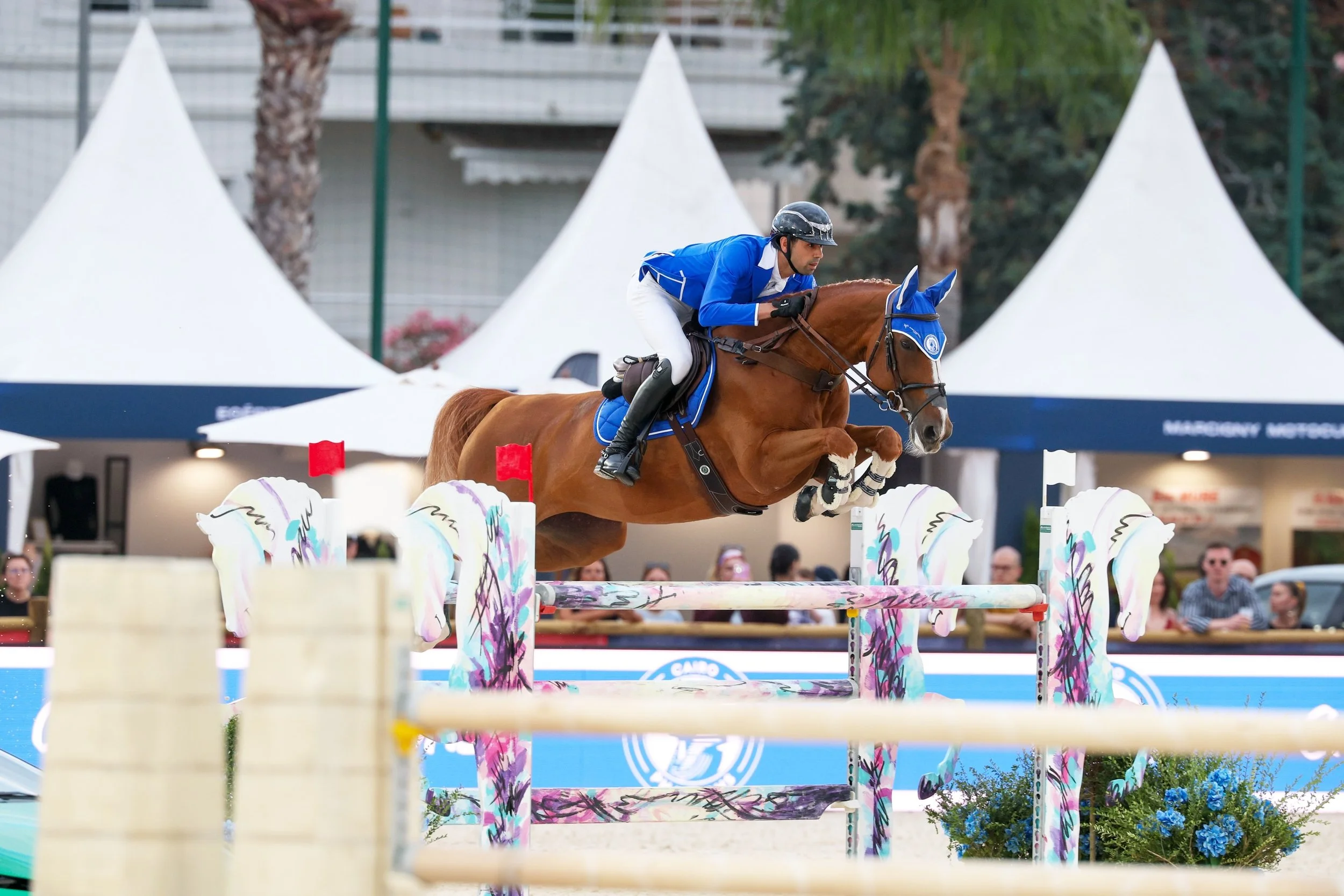 GCL Cannes 🇫🇷

Nayel &amp; Orphea 🌸 jumped a beautiful round for Team Cairo 🇪🇬, with only the final fence coming down. Aboard Ali 🚀, Nayel delivered a clear first round in the CSI5* 1.50m! Next stop ➡️ La Baule! 🇫🇷