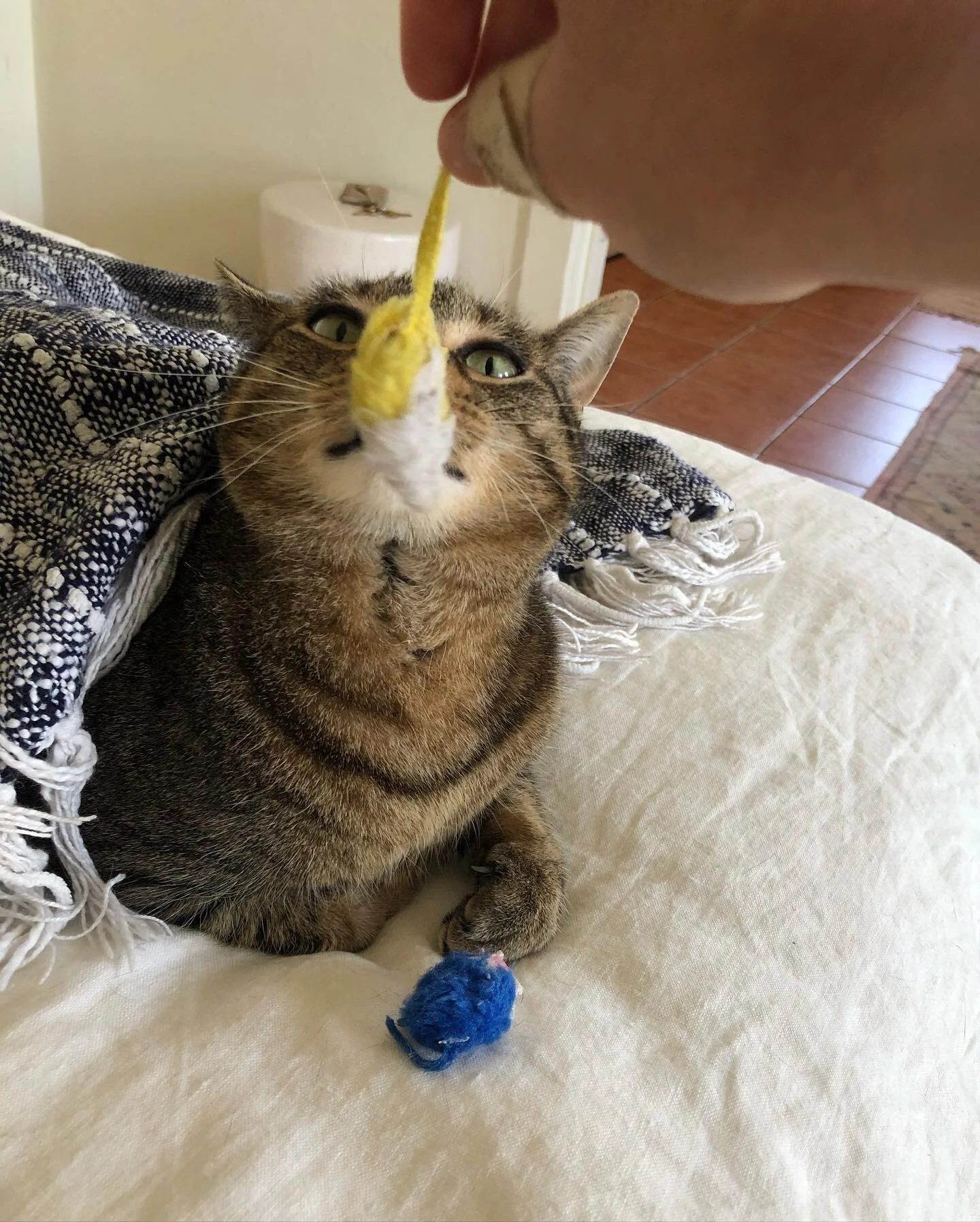 These are a few of my favorite things (and favorite person, @michaelggguitar 😻)