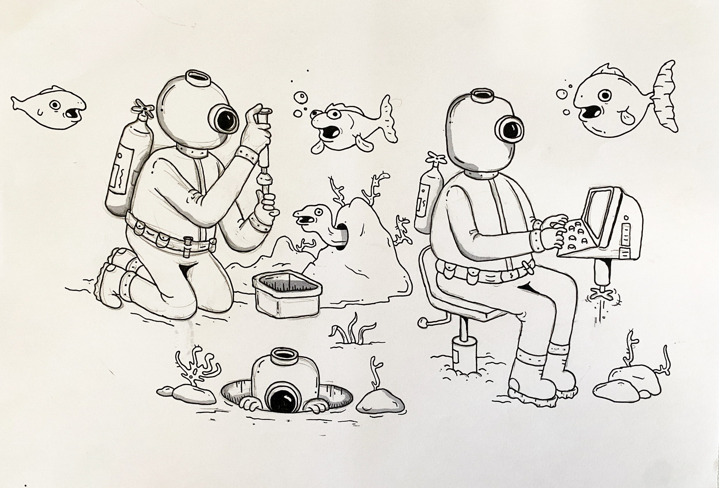Divers_DT.png
