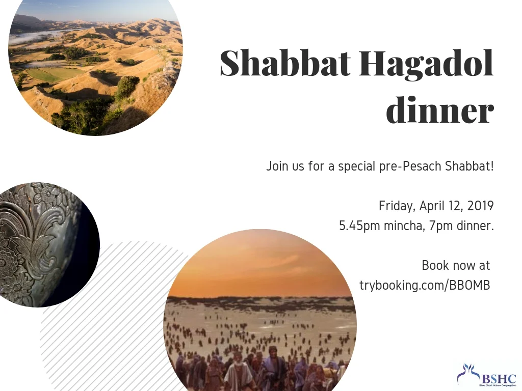 Shabbat Hagadol dinner
