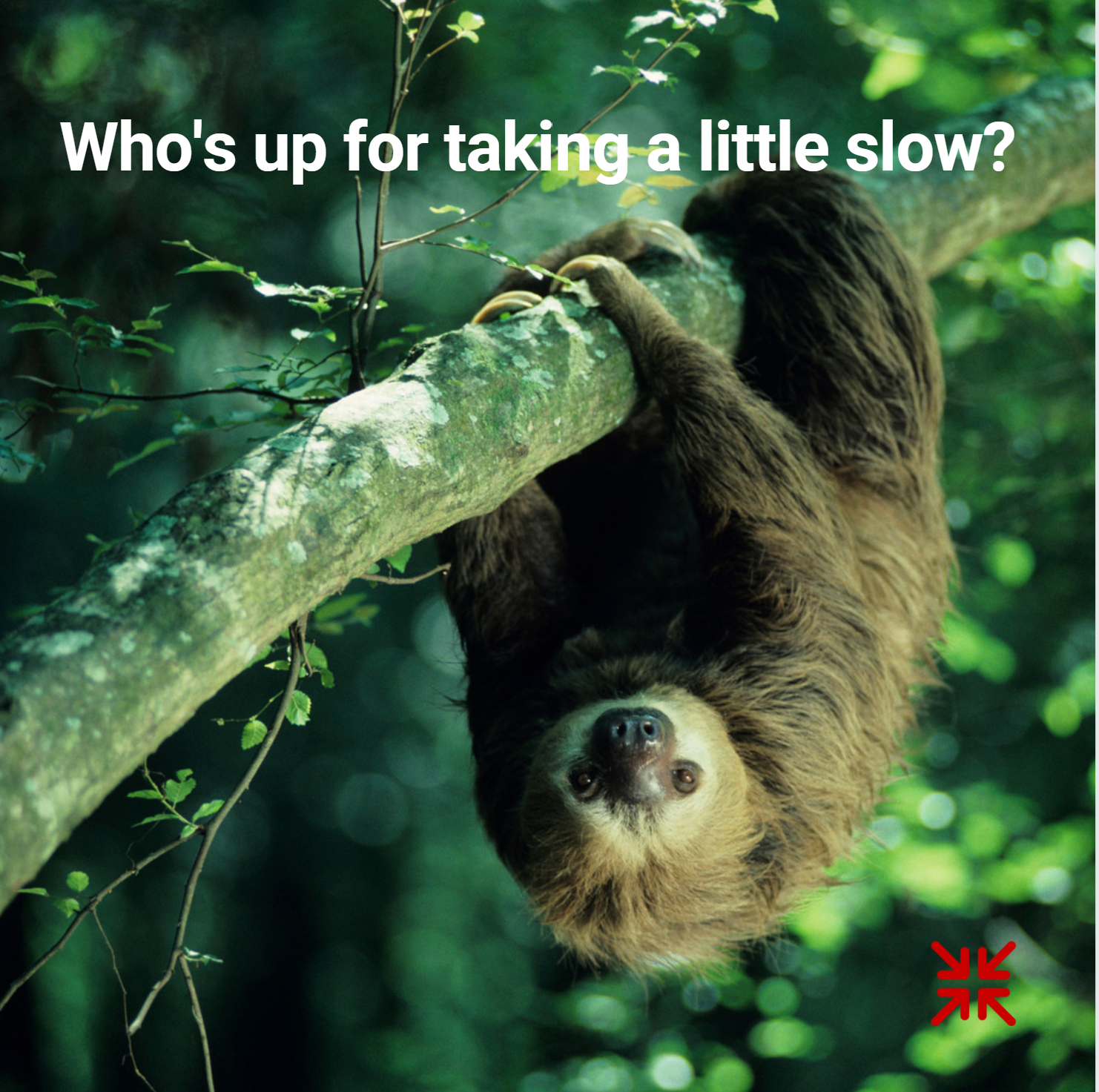 Who's up for taking it a little slow?