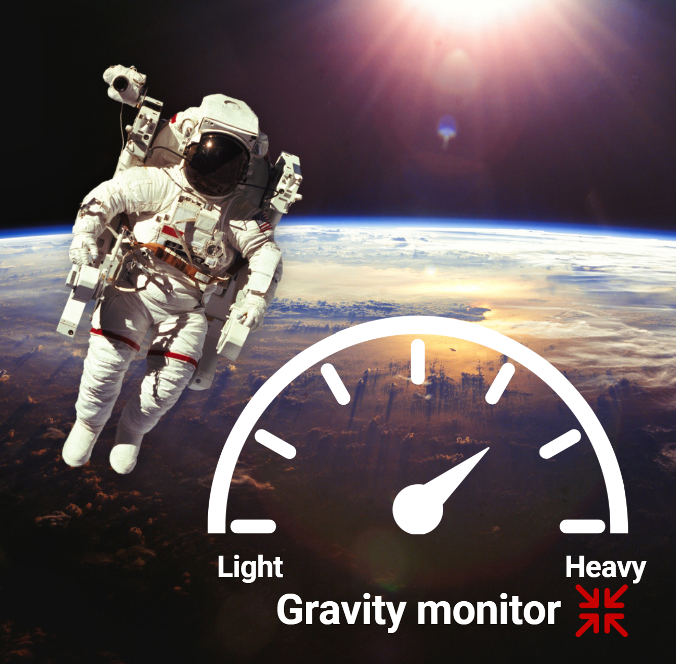Gravity Monitor