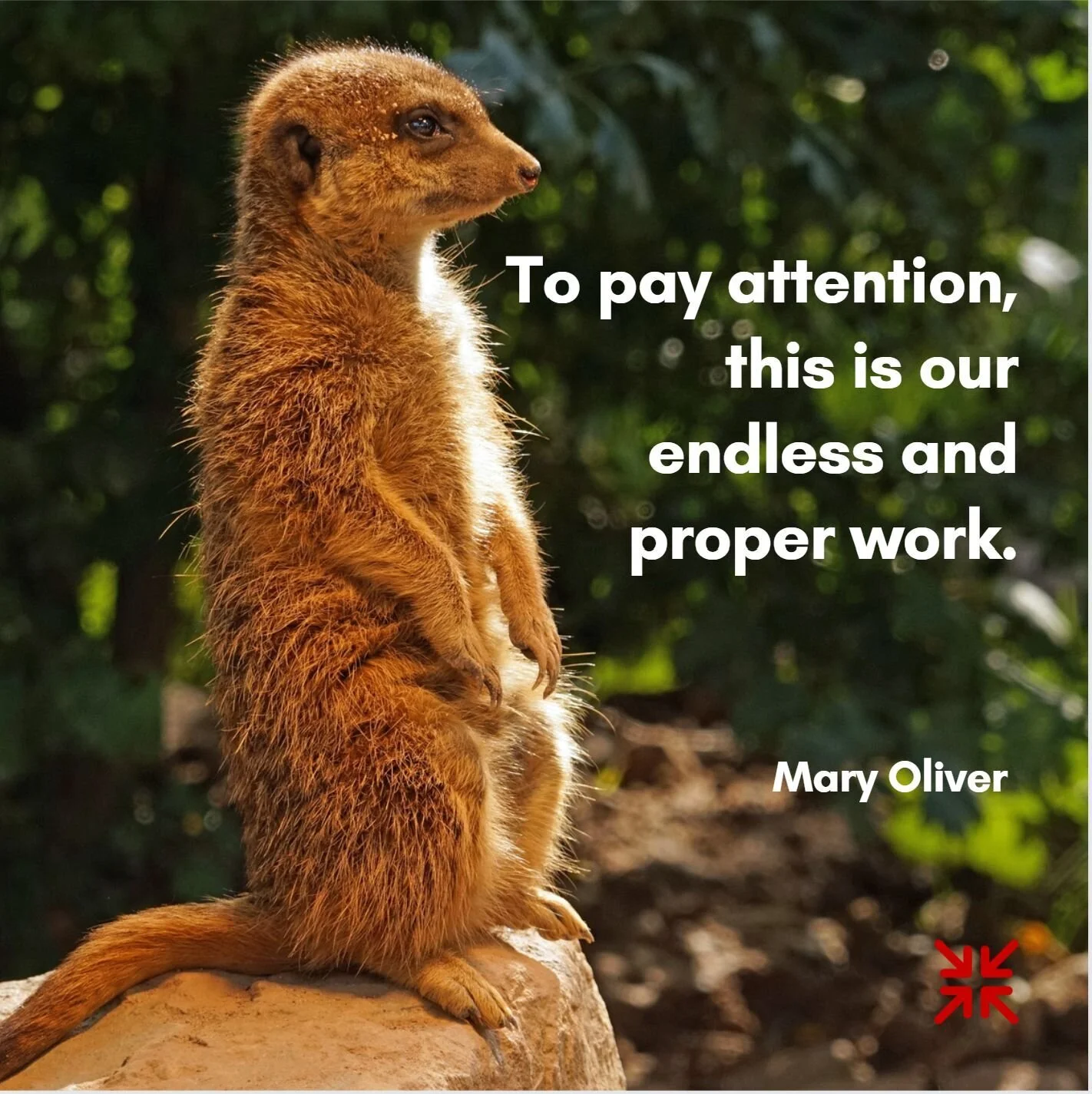 Nothing without attention