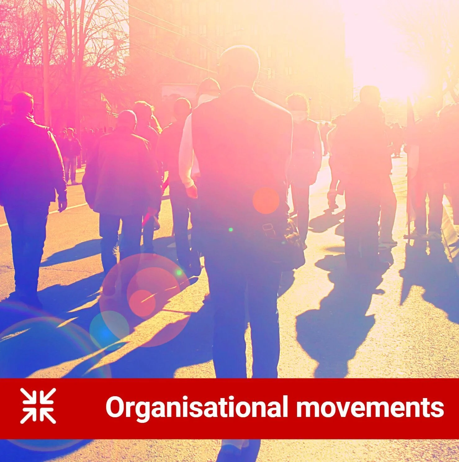 Organisational movements