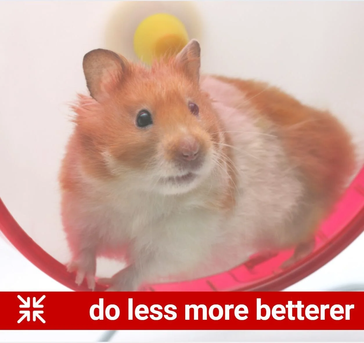 do less more betterer