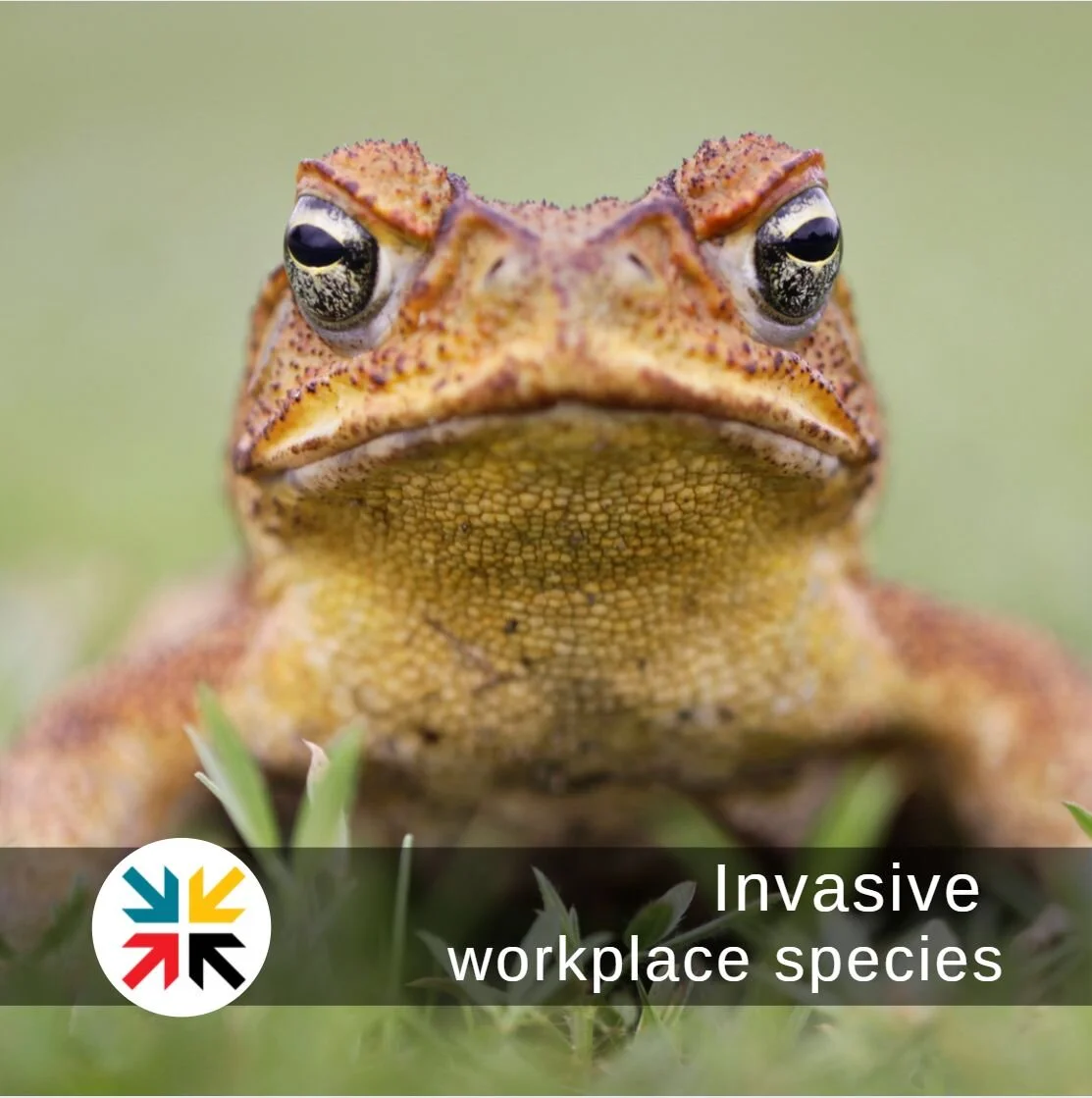 Invasive Workplace Species