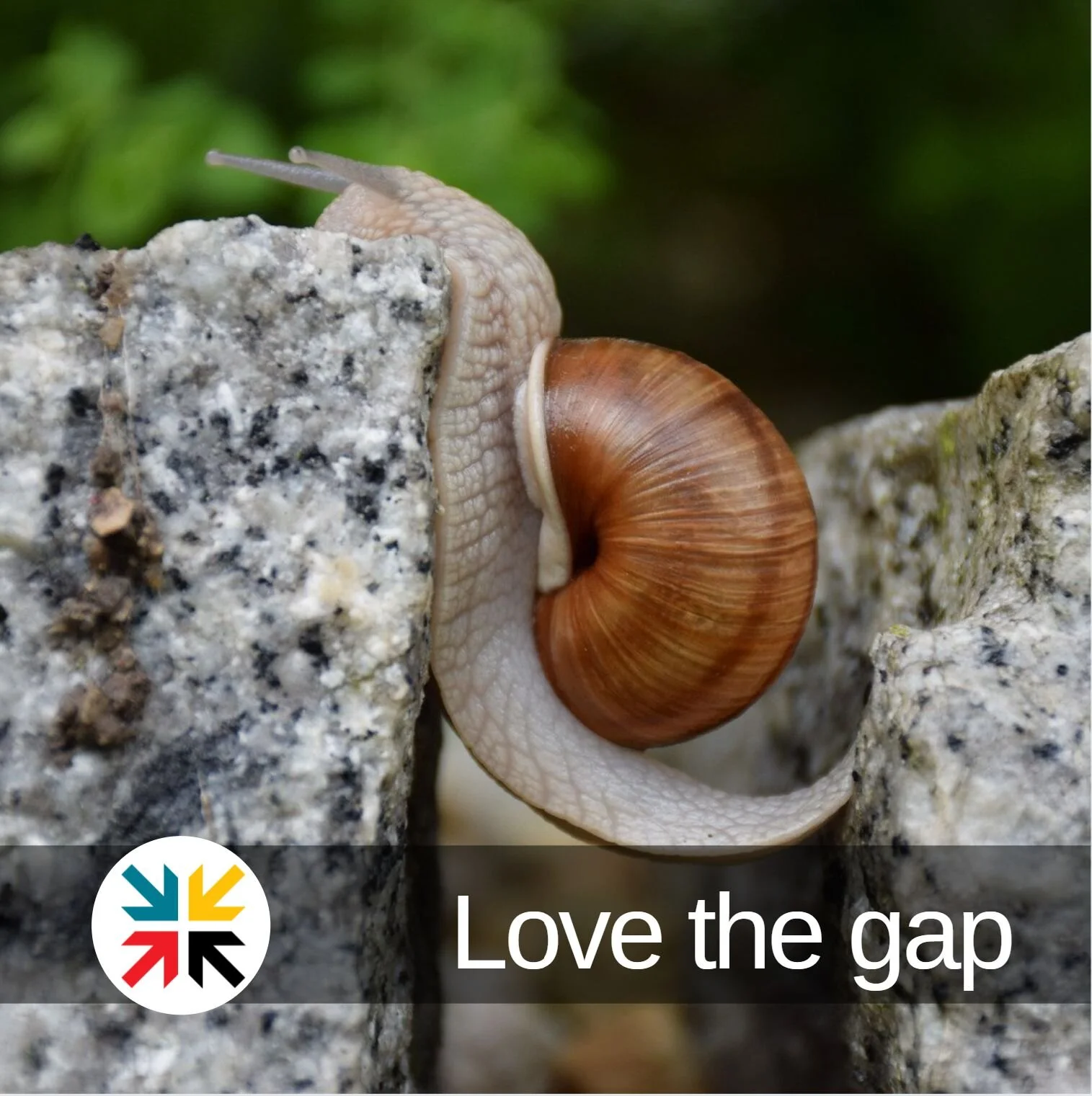 Love the Gap