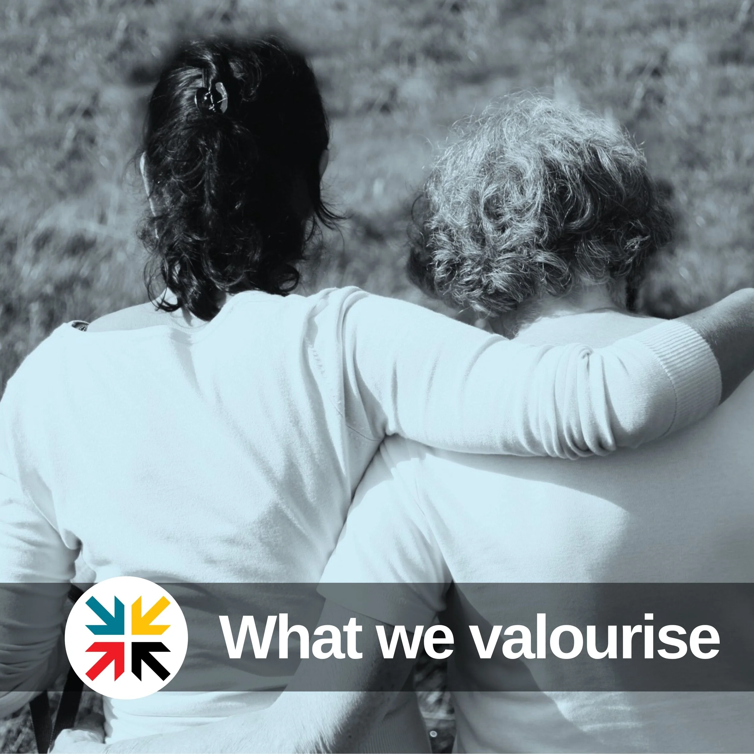 What we valourise
