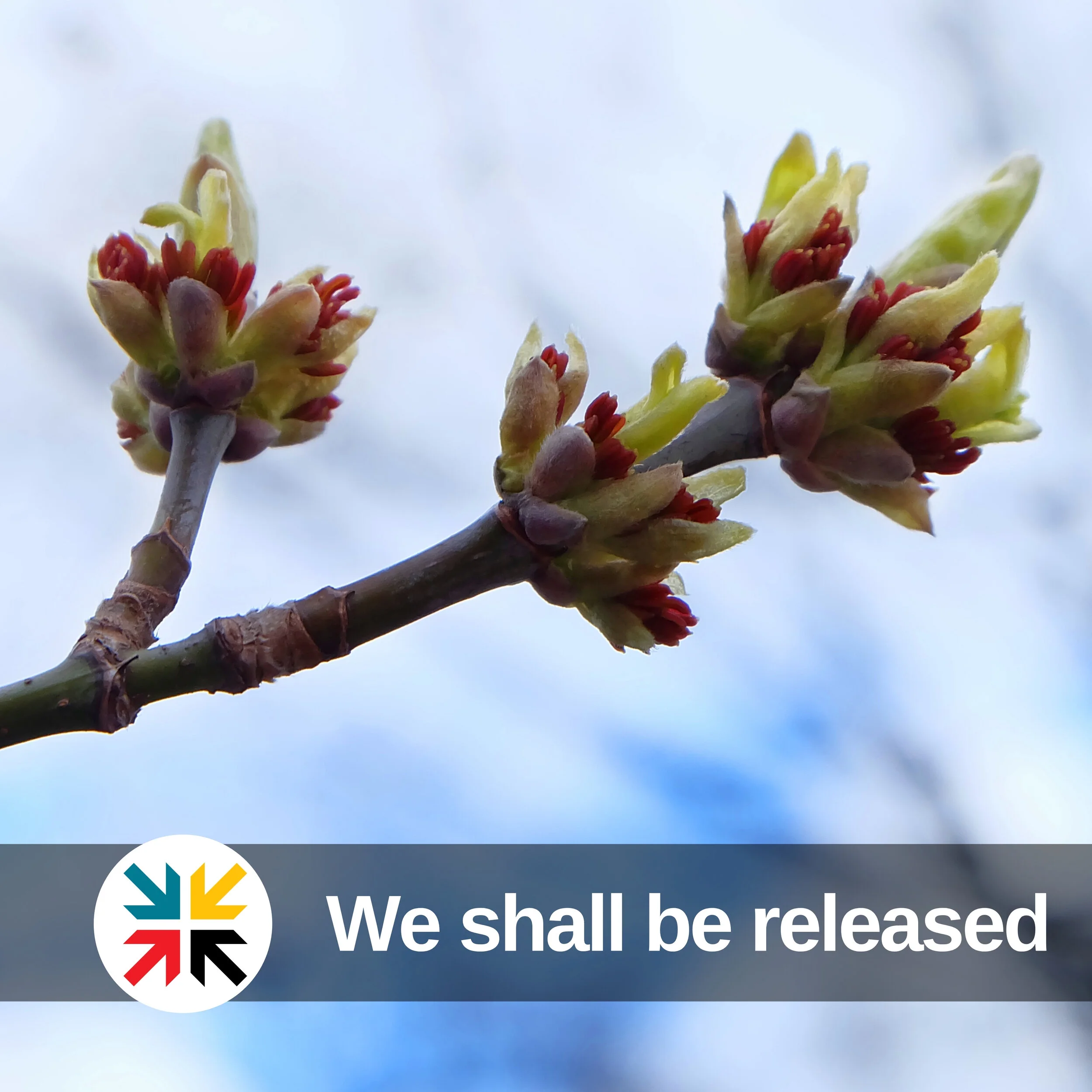 We shall be released