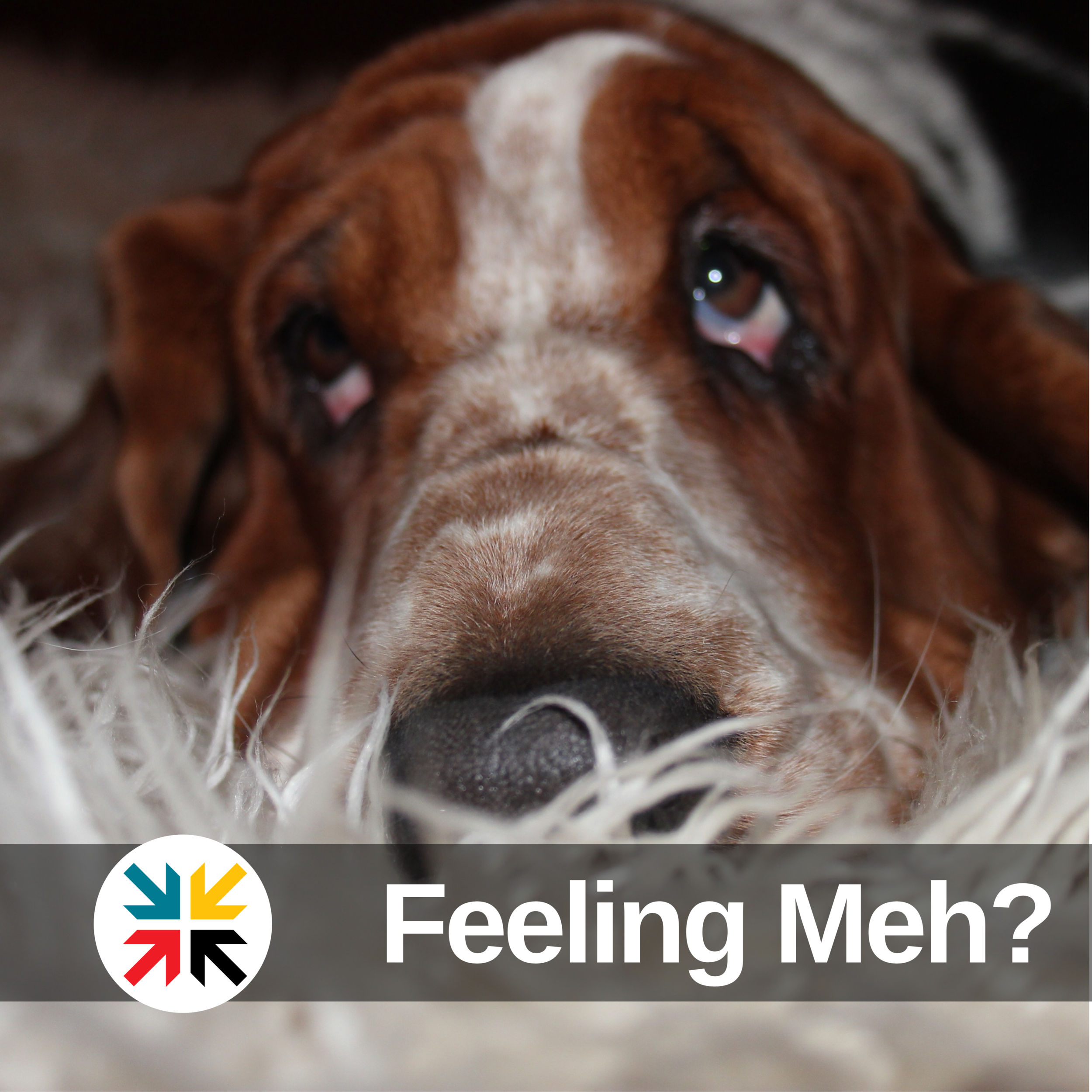 Feeling Meh?
