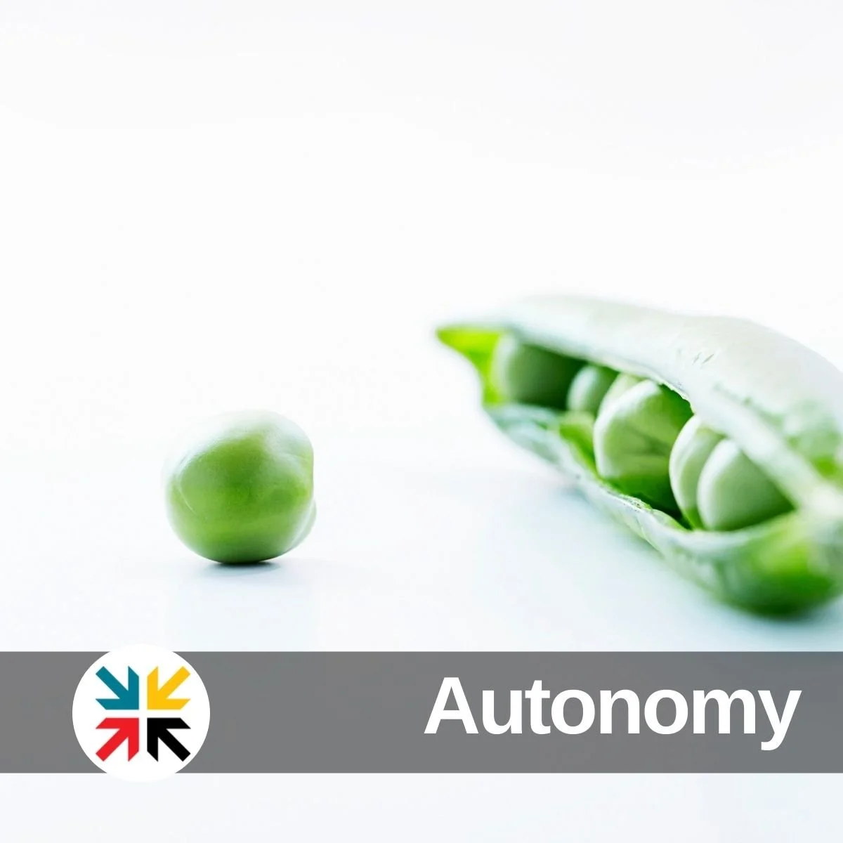 Autonomy