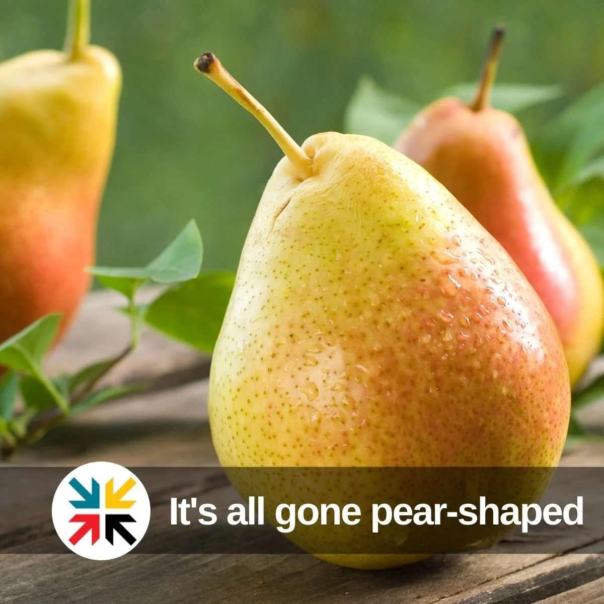 It's all gone pear-shaped